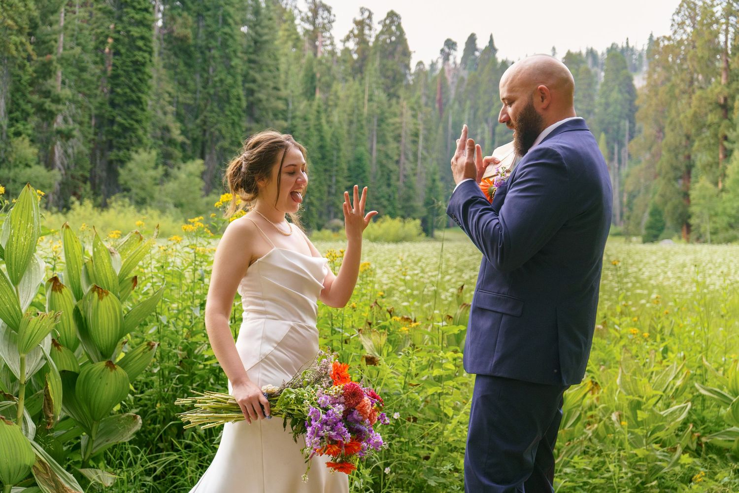 Cresent Meadow Elopement, Sequoia Moro Rock Elopement, Sequoia Elopement, Séquoia Summer Elopement