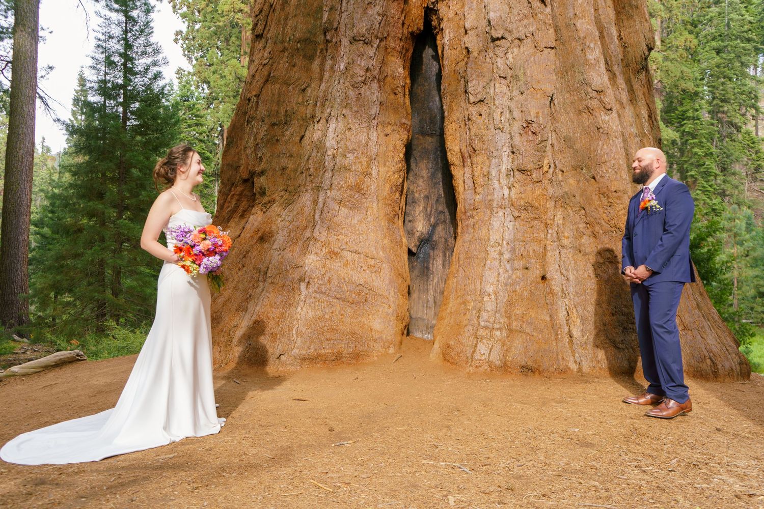 Cresent Meadow Elopement, Sequoia Moro Rock Elopement, Sequoia Elopement, Séquoia Summer Elopement