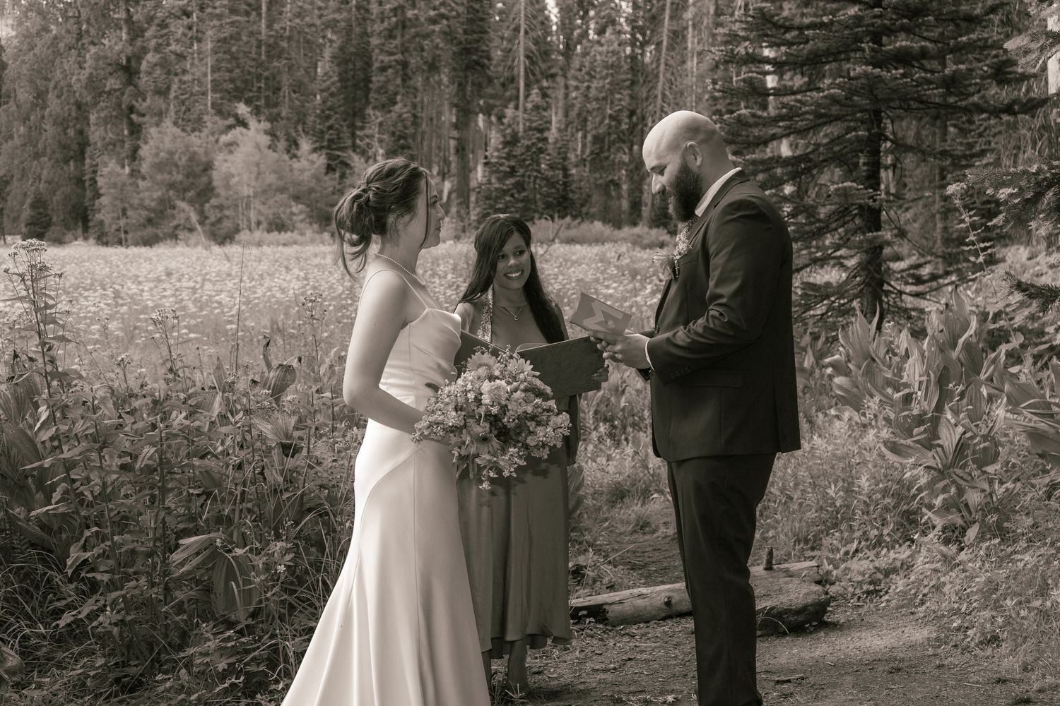 Cresent Meadow Elopement, Sequoia Moro Rock Elopement, Sequoia Elopement, Séquoia Summer ElopementCresent Meadow Elopement, Sequoia Moro Roc