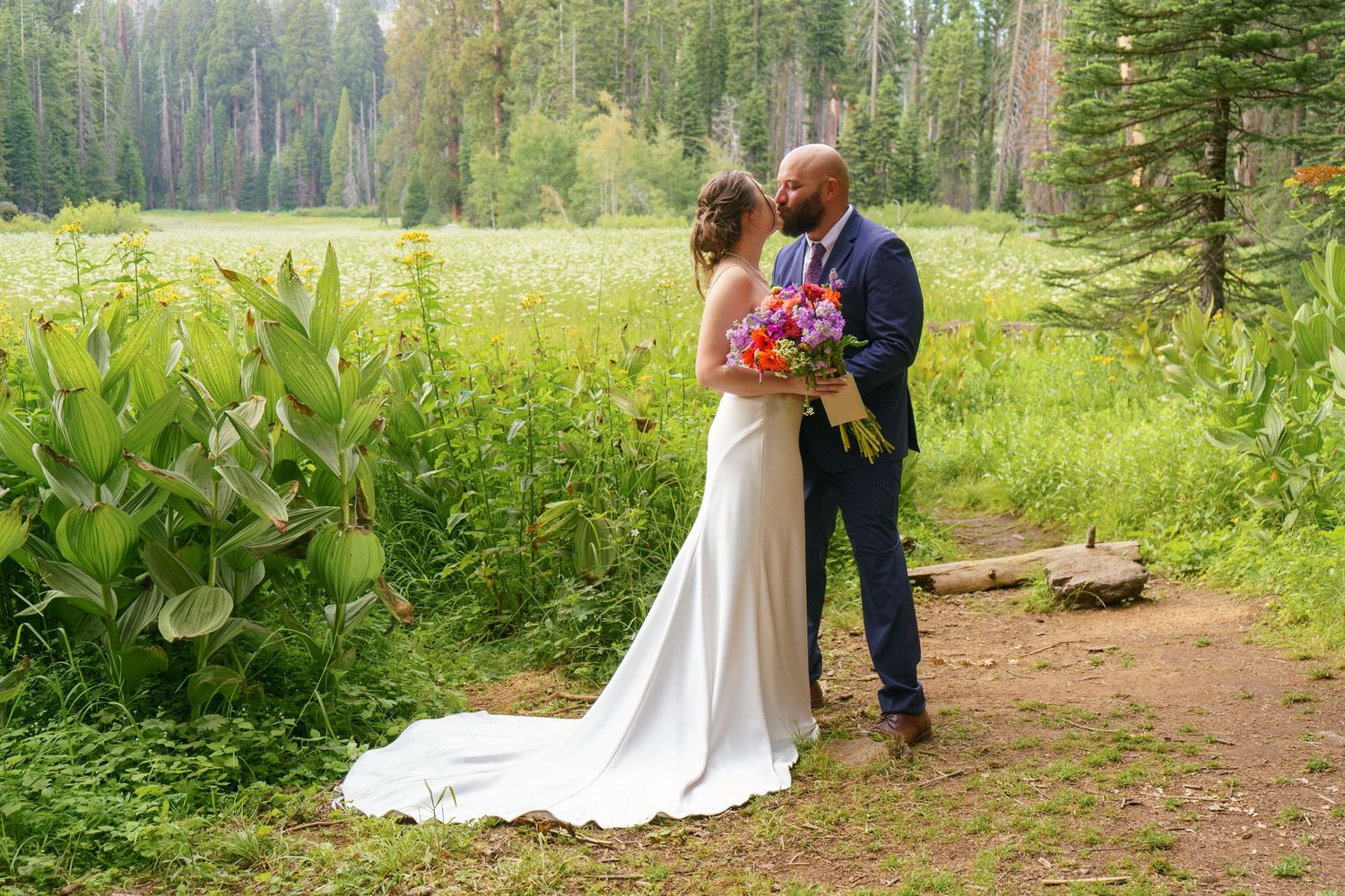 Cresent Meadow Elopement, Sequoia Moro Rock Elopement, Sequoia Elopement, Séquoia Summer Elopement