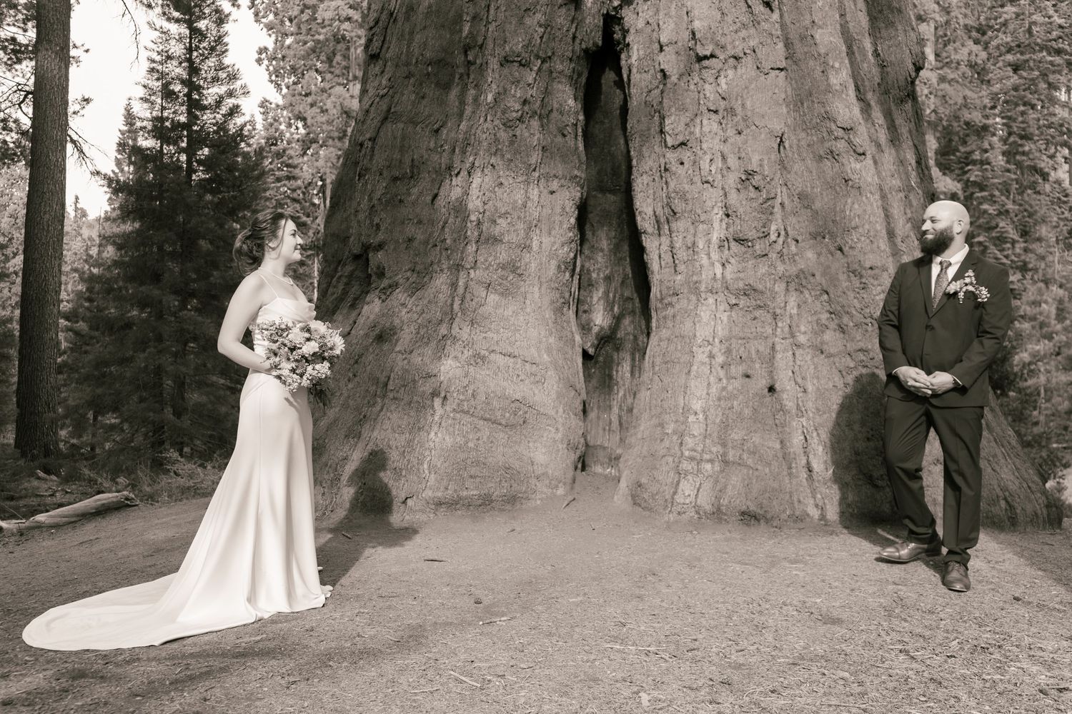 Cresent Meadow Elopement, Sequoia Moro Rock Elopement, Sequoia Elopement, Séquoia Summer Elopement