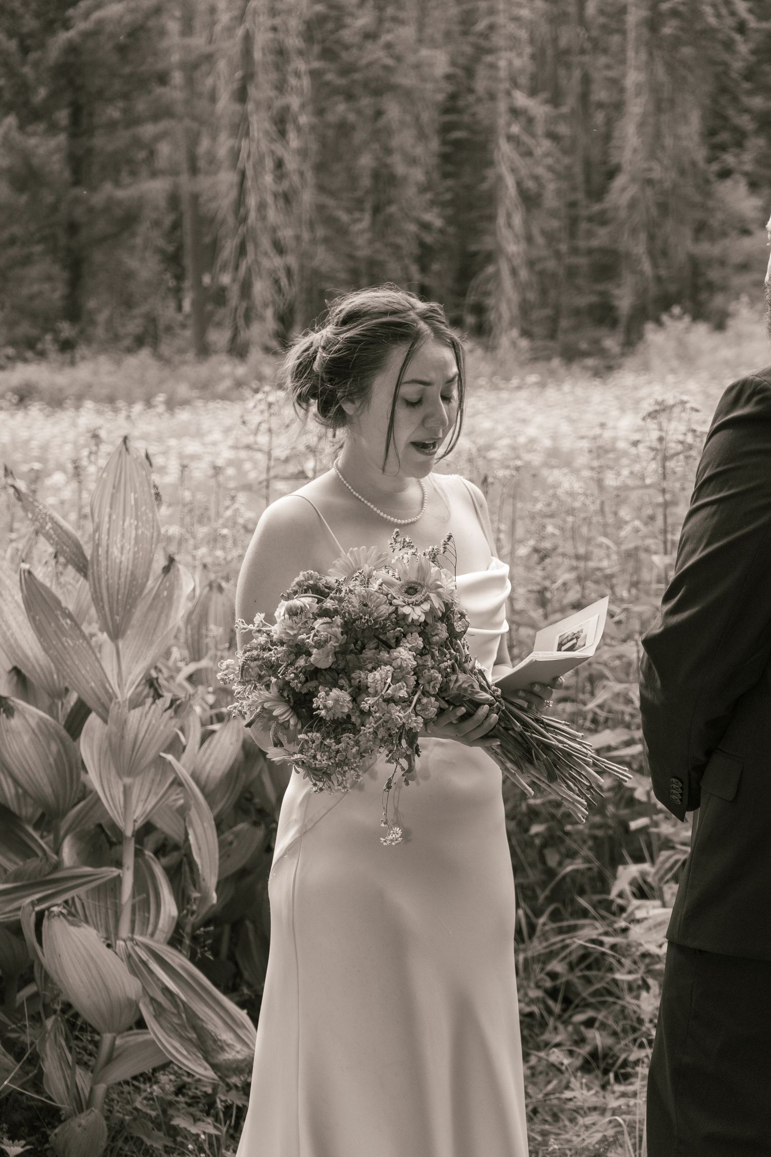 Cresent Meadow Elopement, Sequoia Moro Rock Elopement, Sequoia Elopement, Séquoia Summer Elopement