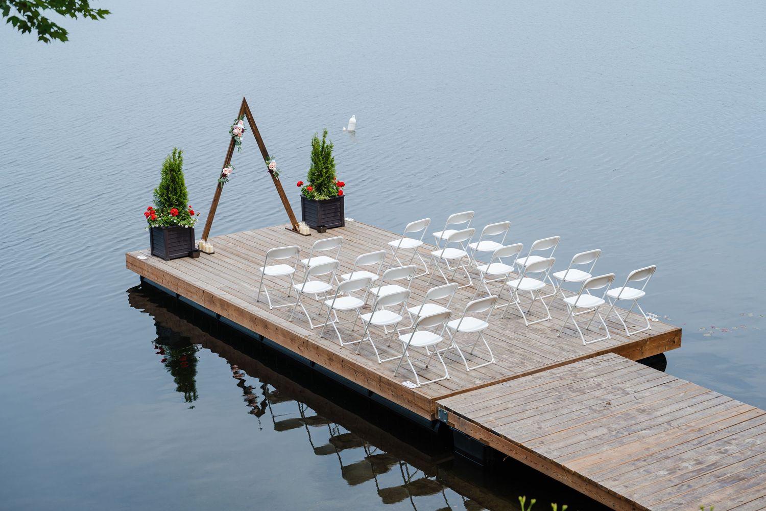Empty clear glass chairs arranged on a wooden dock over calm water with two potted evergreen plants at one end.