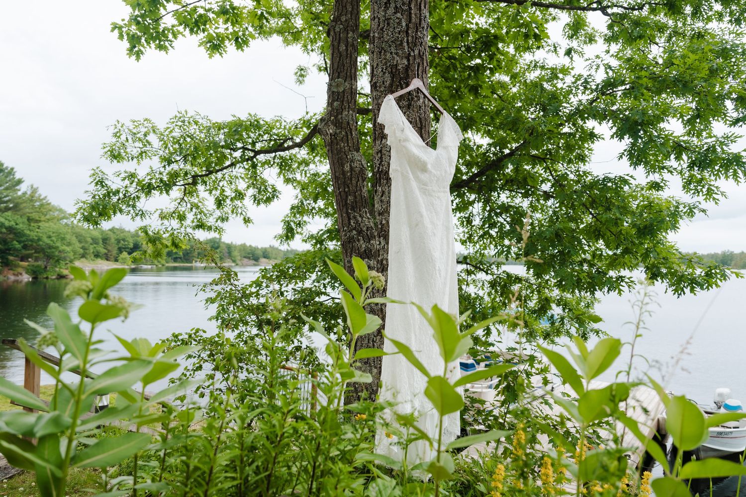A white wedding dress hangs from a tree branch against a lakeside background with green foliage.