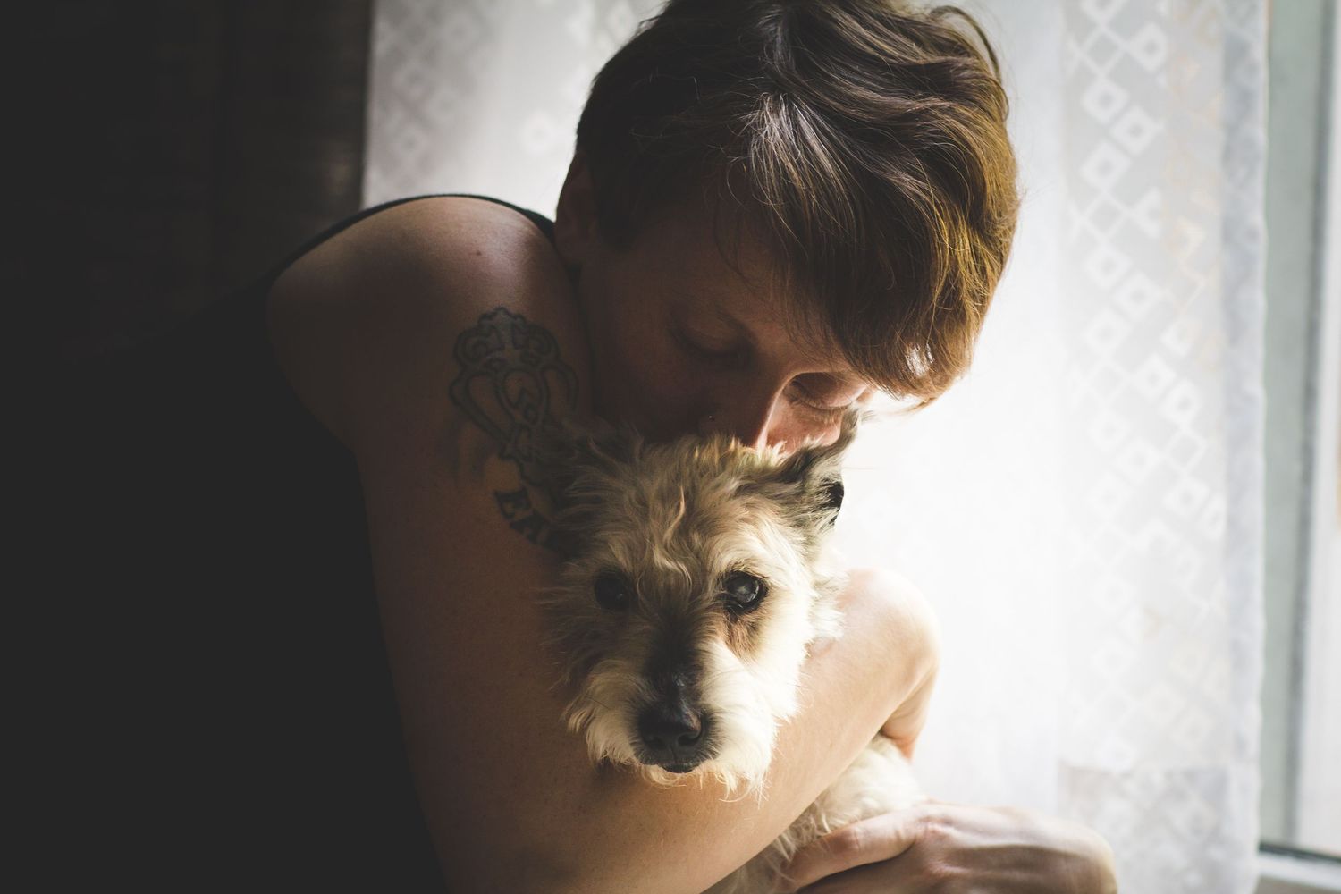 Rainbow Bridge Pet Photography