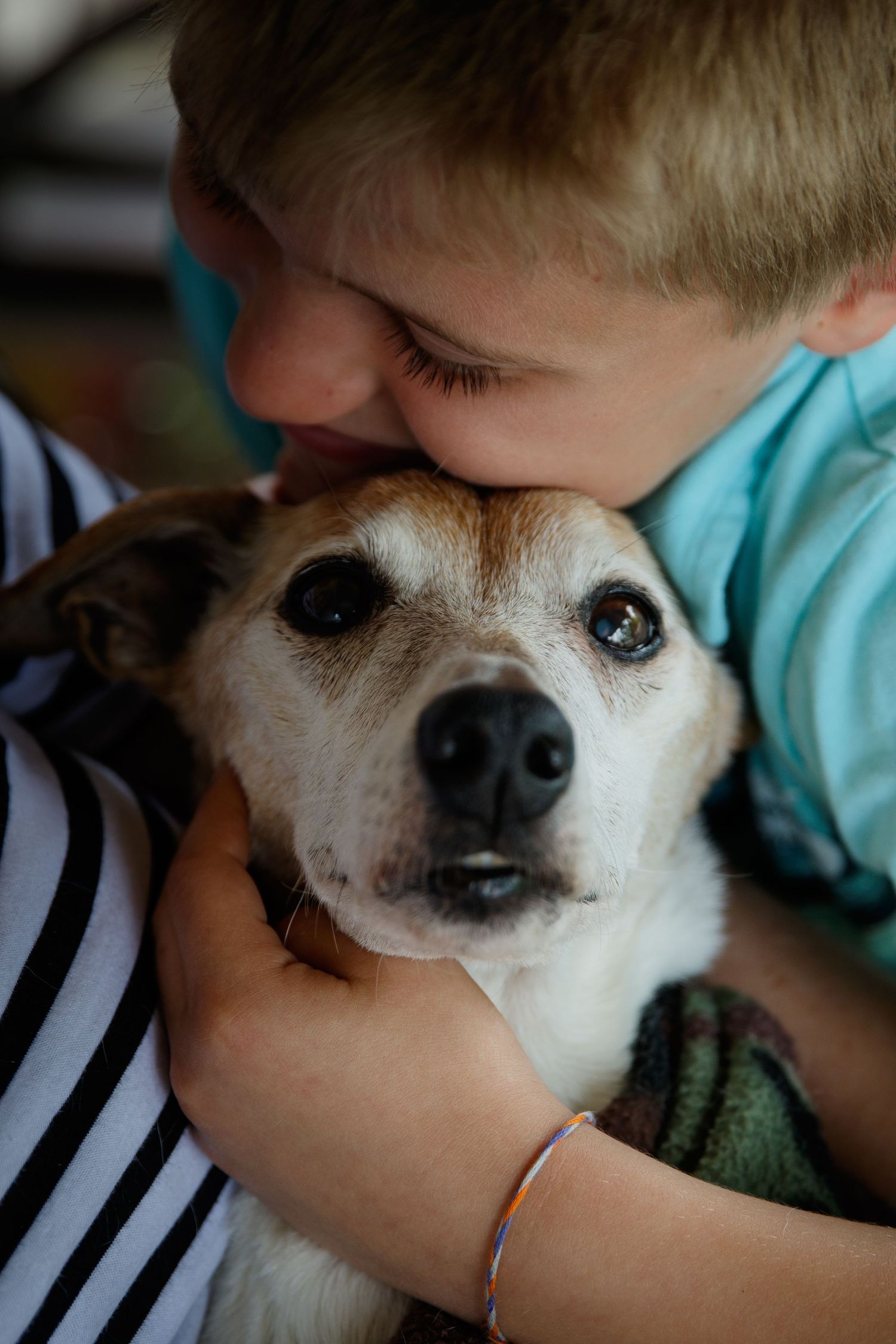 Rainbow Bridge Pet Photography
