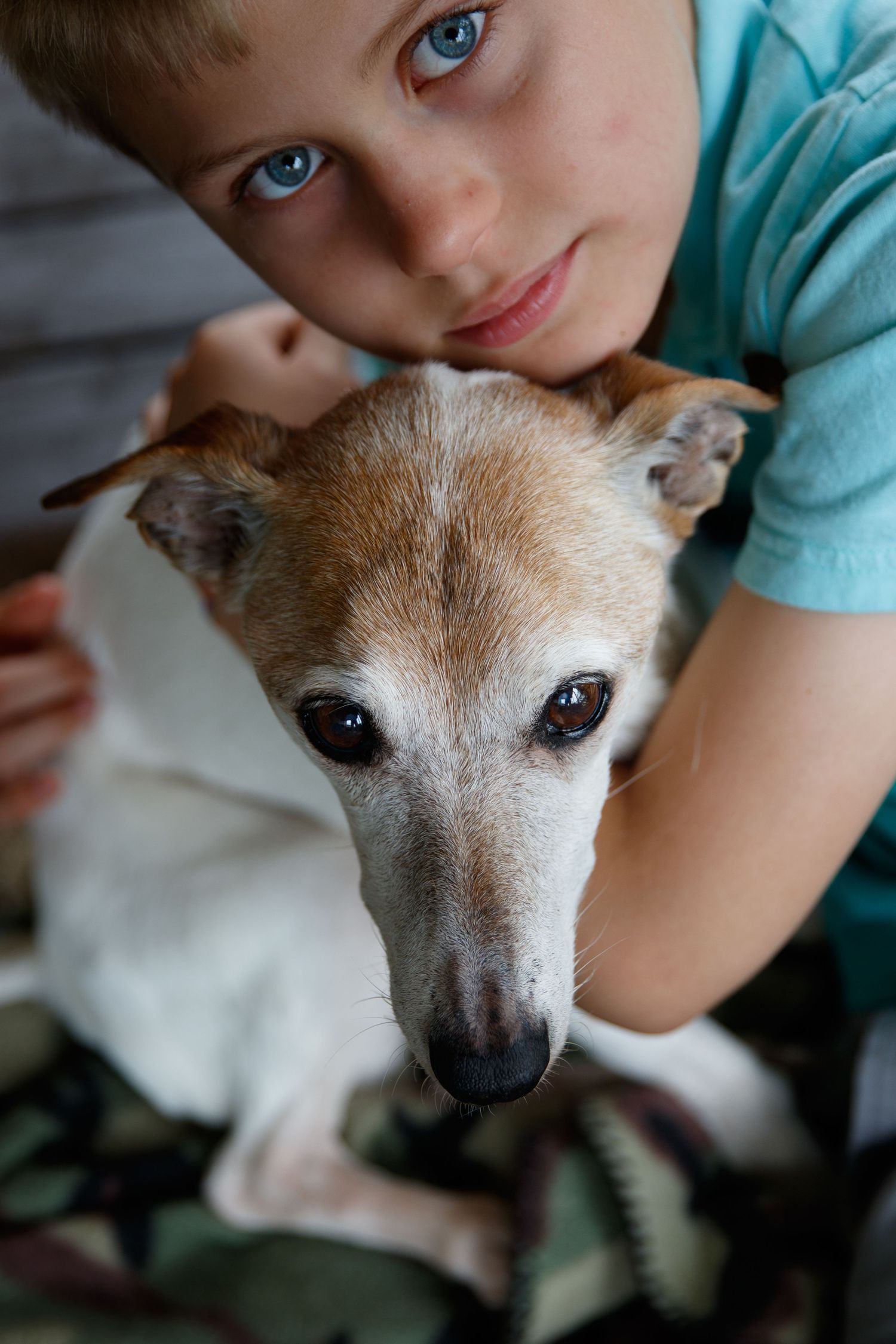 Rainbow Bridge Pet Photography