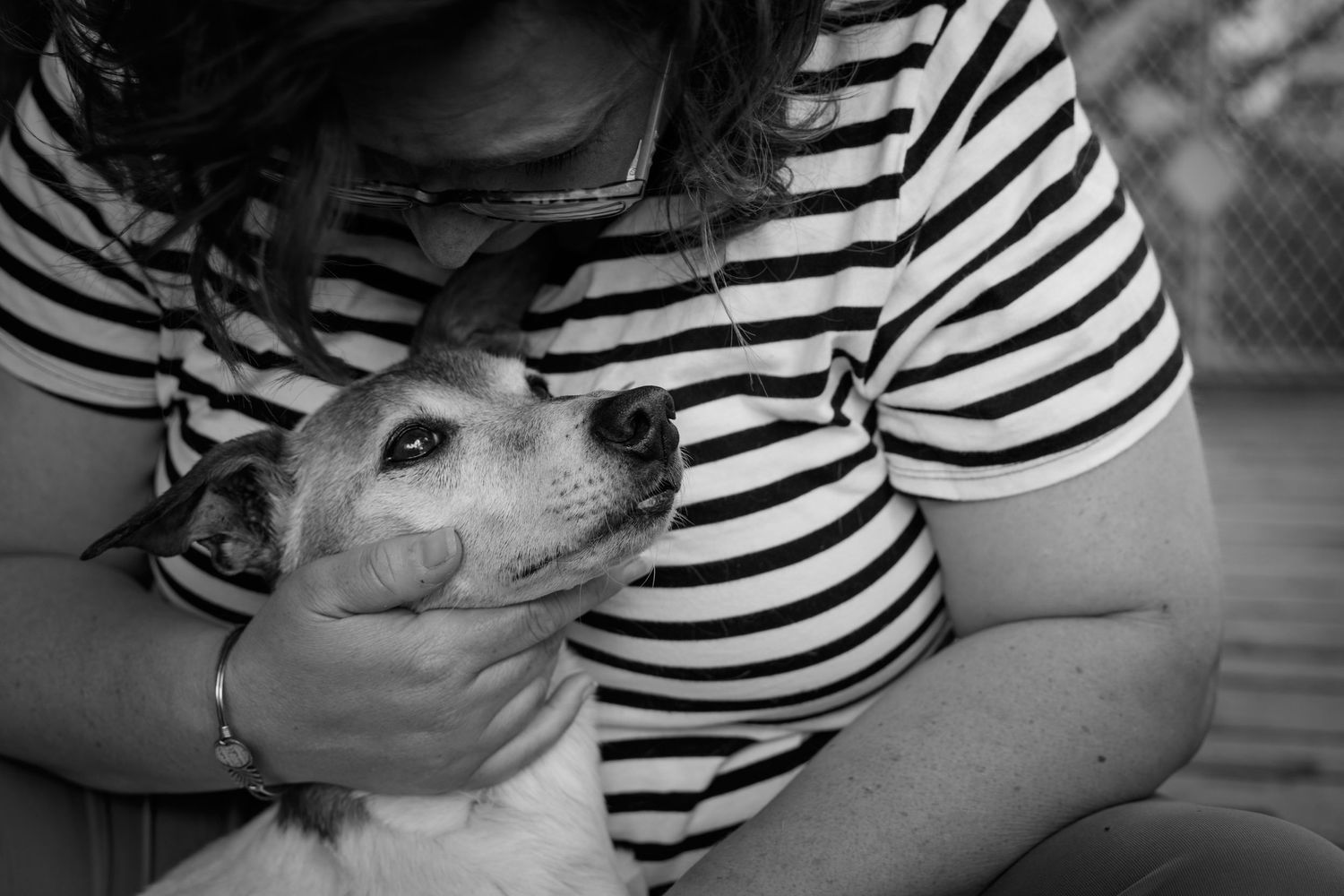 Rainbow Bridge Pet Photography