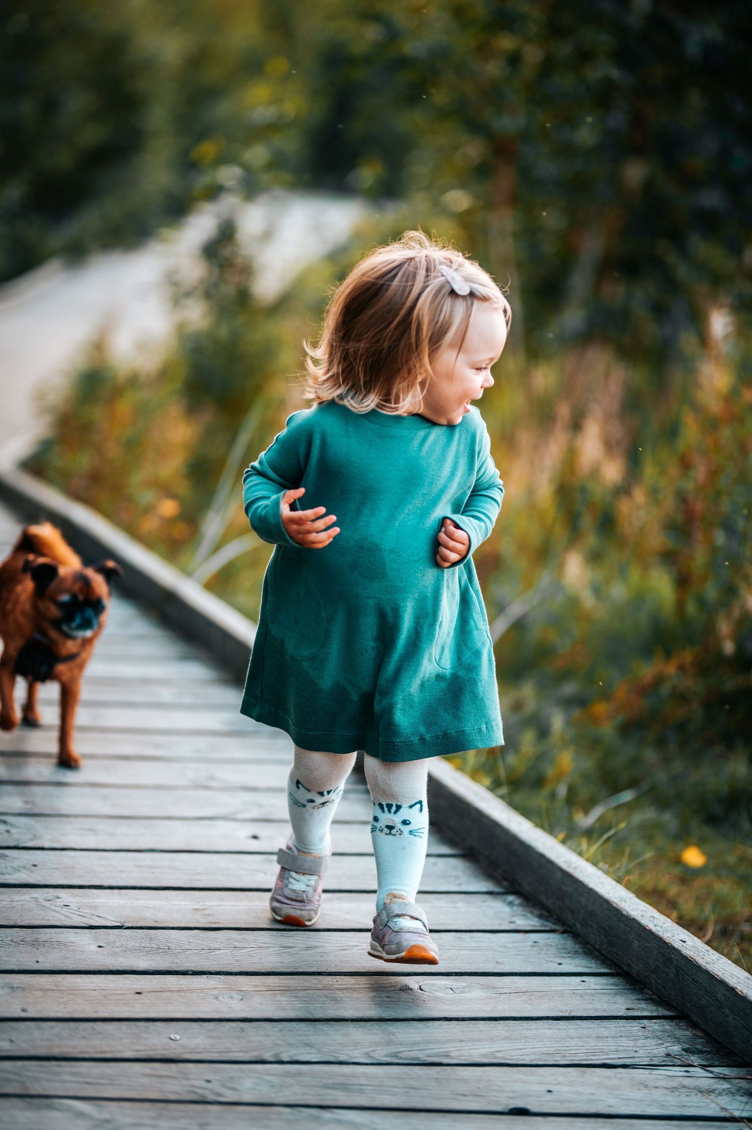 Small child in teal dress and patterned tights walks along wooden boardwalk with dog visible in background.