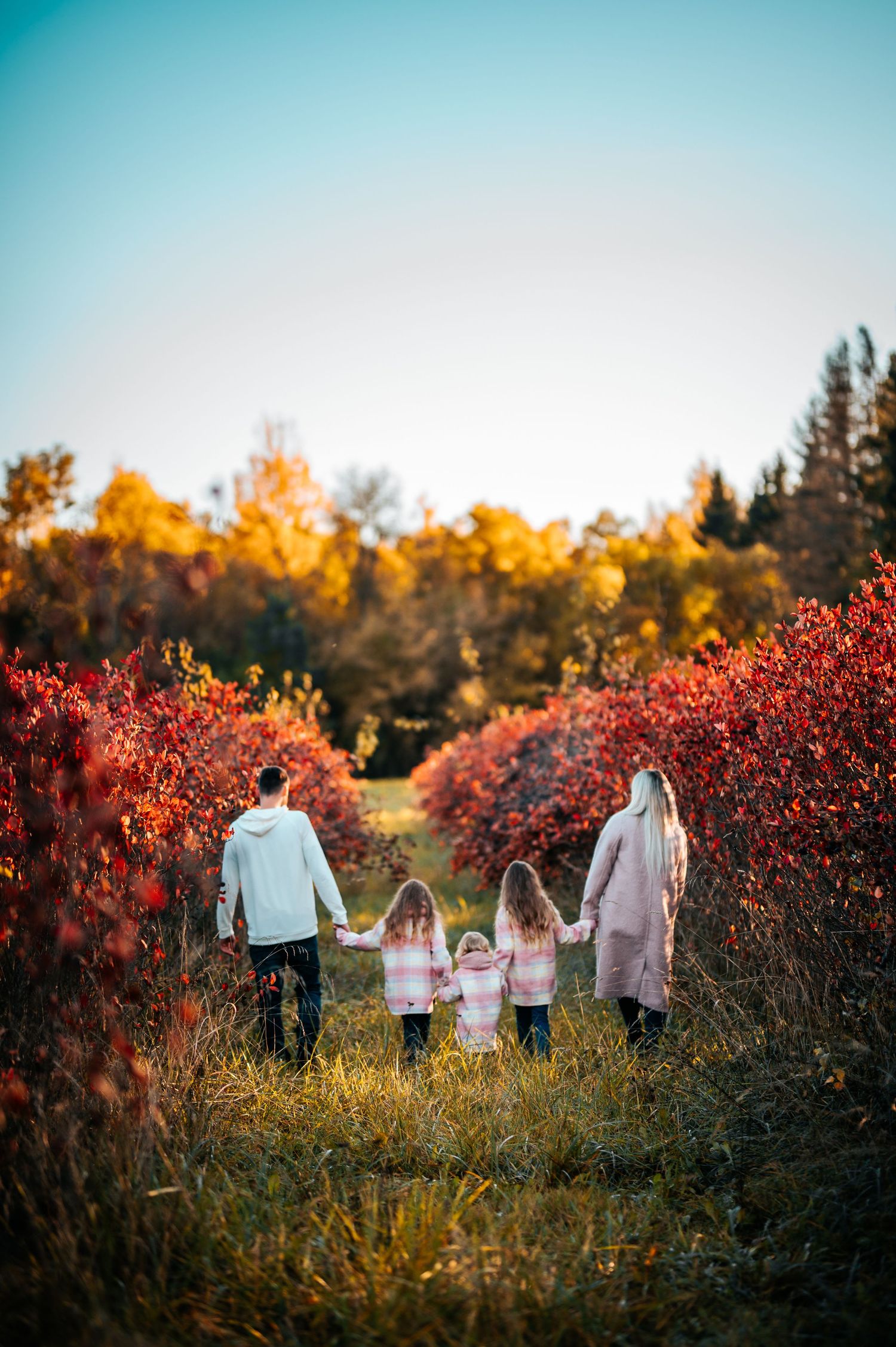 Family walking together through golden grass and red autumn bushes at sunset.