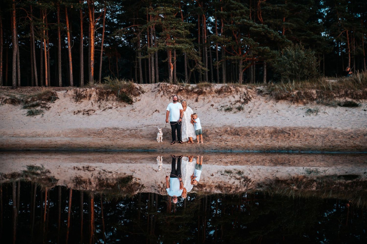 A couple walks along a sandy forest path surrounded by tall pine trees on a sunny day.