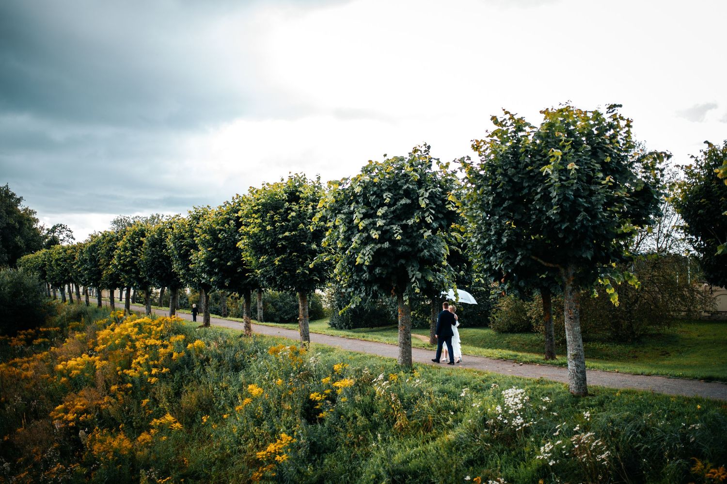 A panoramic view of a grassy hillside path with trees and bushes under a cloudy sky.