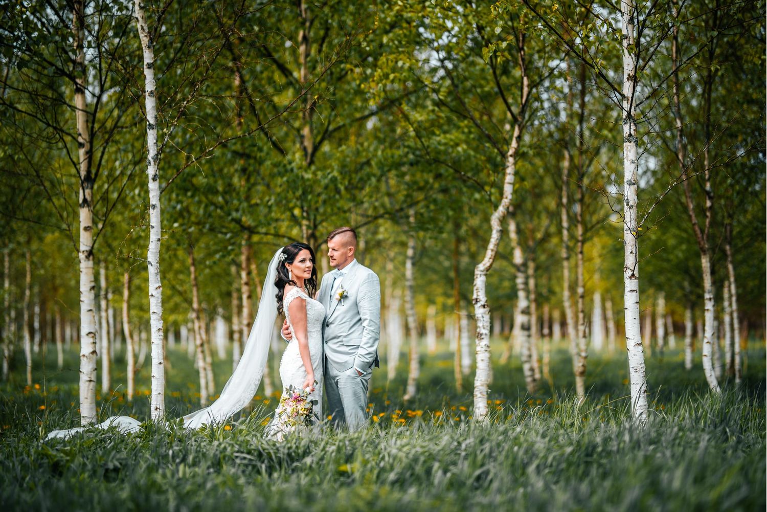 Romantic wedding portraits in birch tree grove with natural lighting.