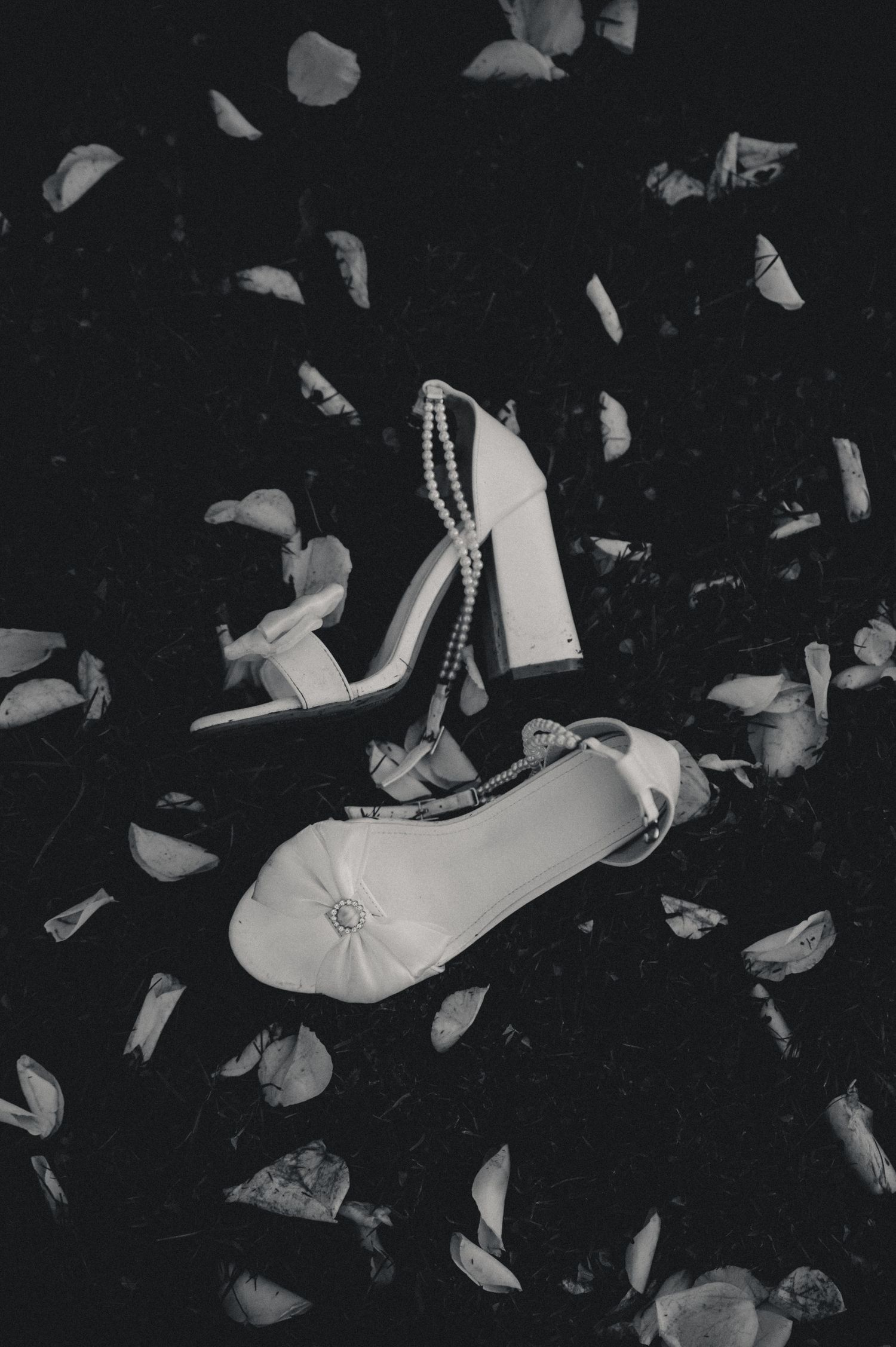 Black and white artistic photograph showing scattered white feathers floating against a dark background.