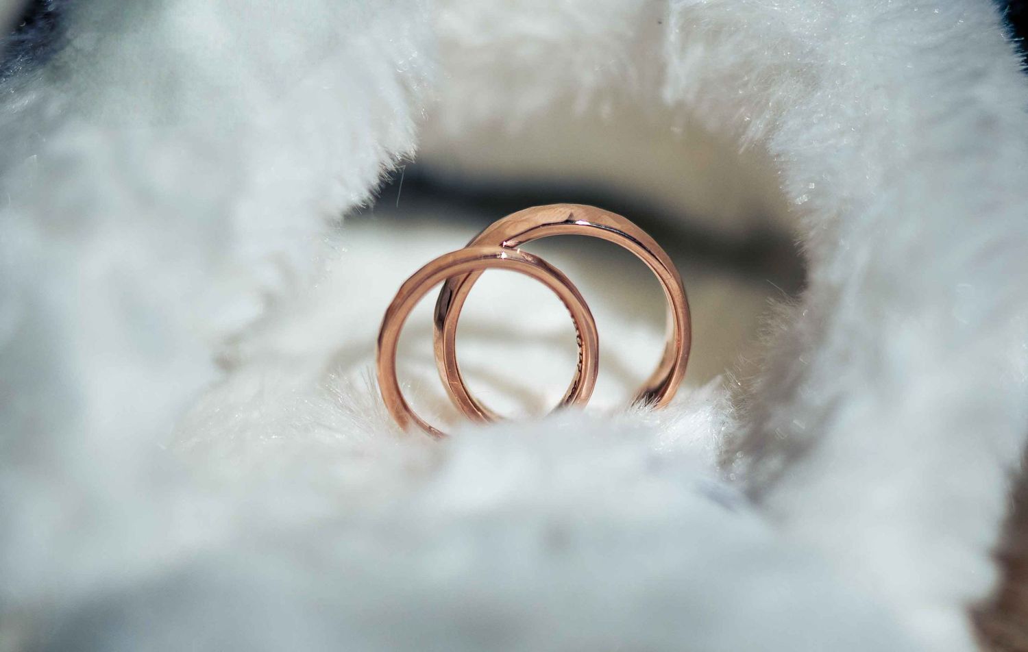 A series of copper wire rings arranged in a row against a soft white background showing metalwork detail.