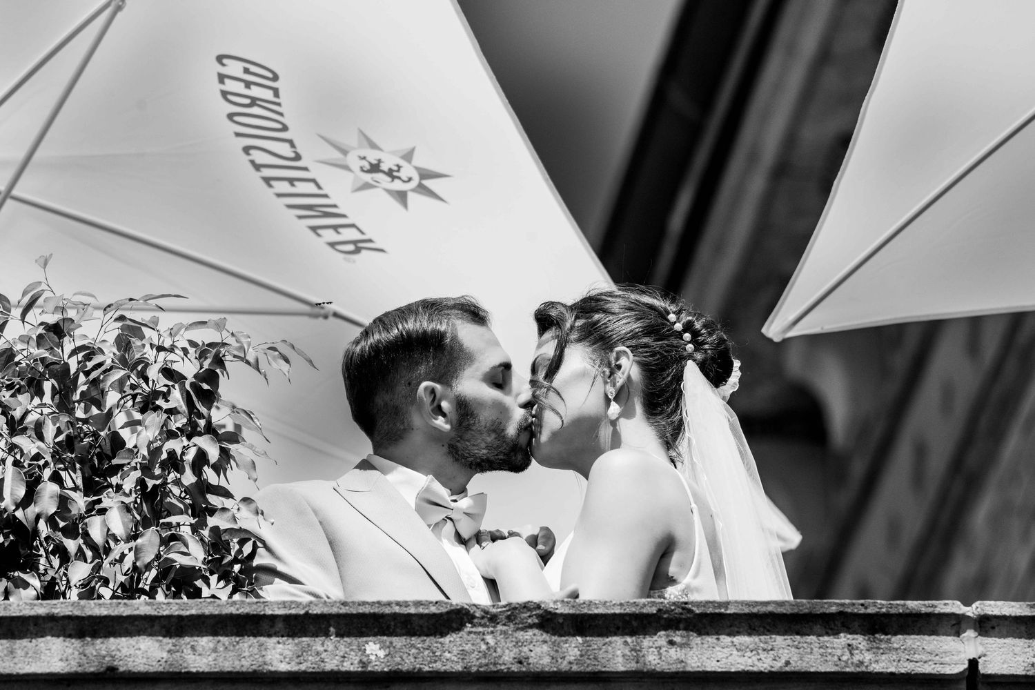 Black and white wedding photographs displayed in a collage showing intimate moments between couples during their celebration.