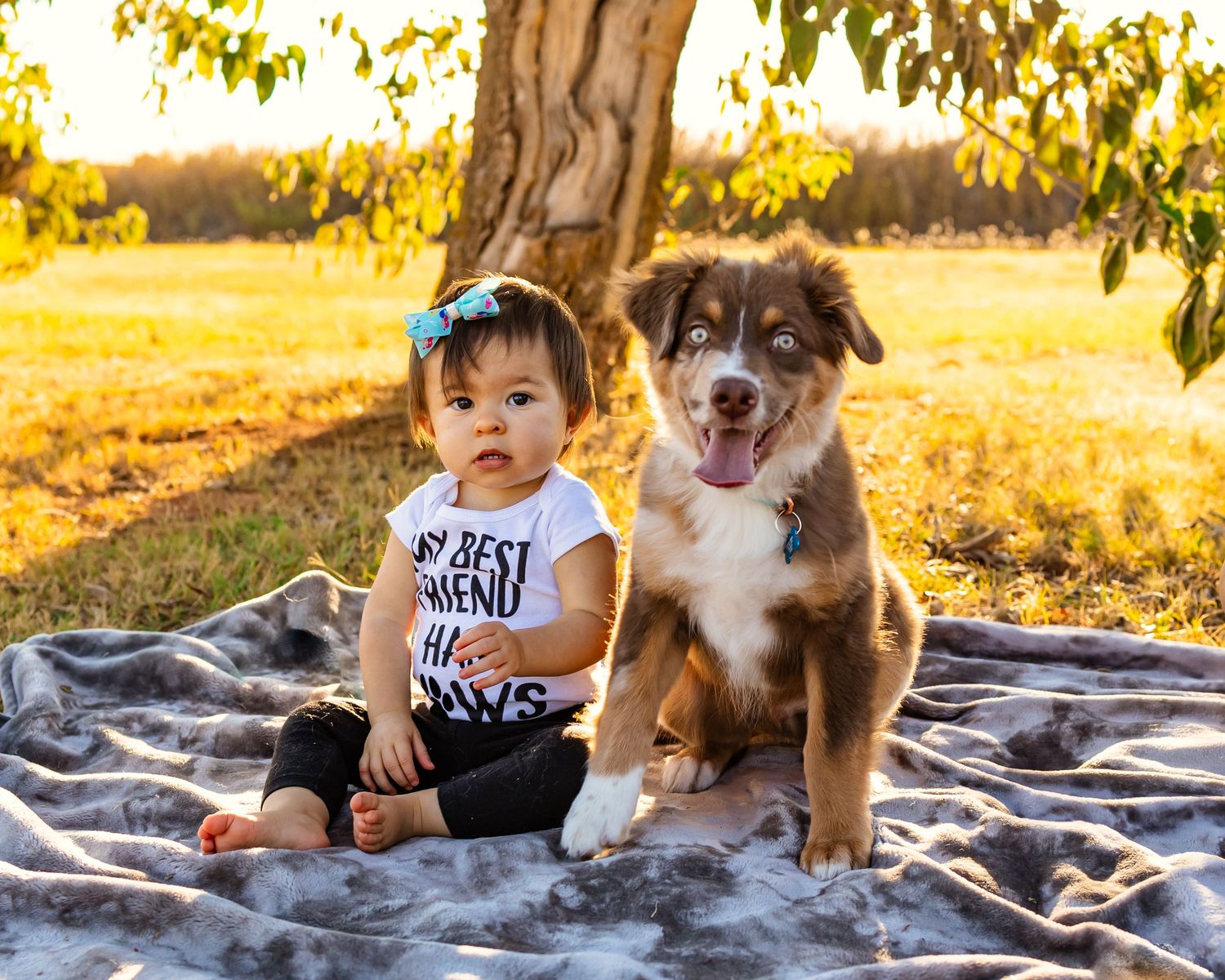 Baby girl in ‘My Best Friend Has Paws’ shirt sits on blanket with Australian Shepherd puppy at golden hour in Oklahoma family photography