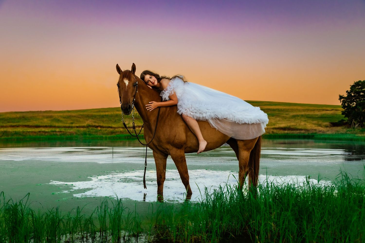 Oklahoma high school senior in white gown draped over a brown horse near a pond at golden sunset on green meadow.
