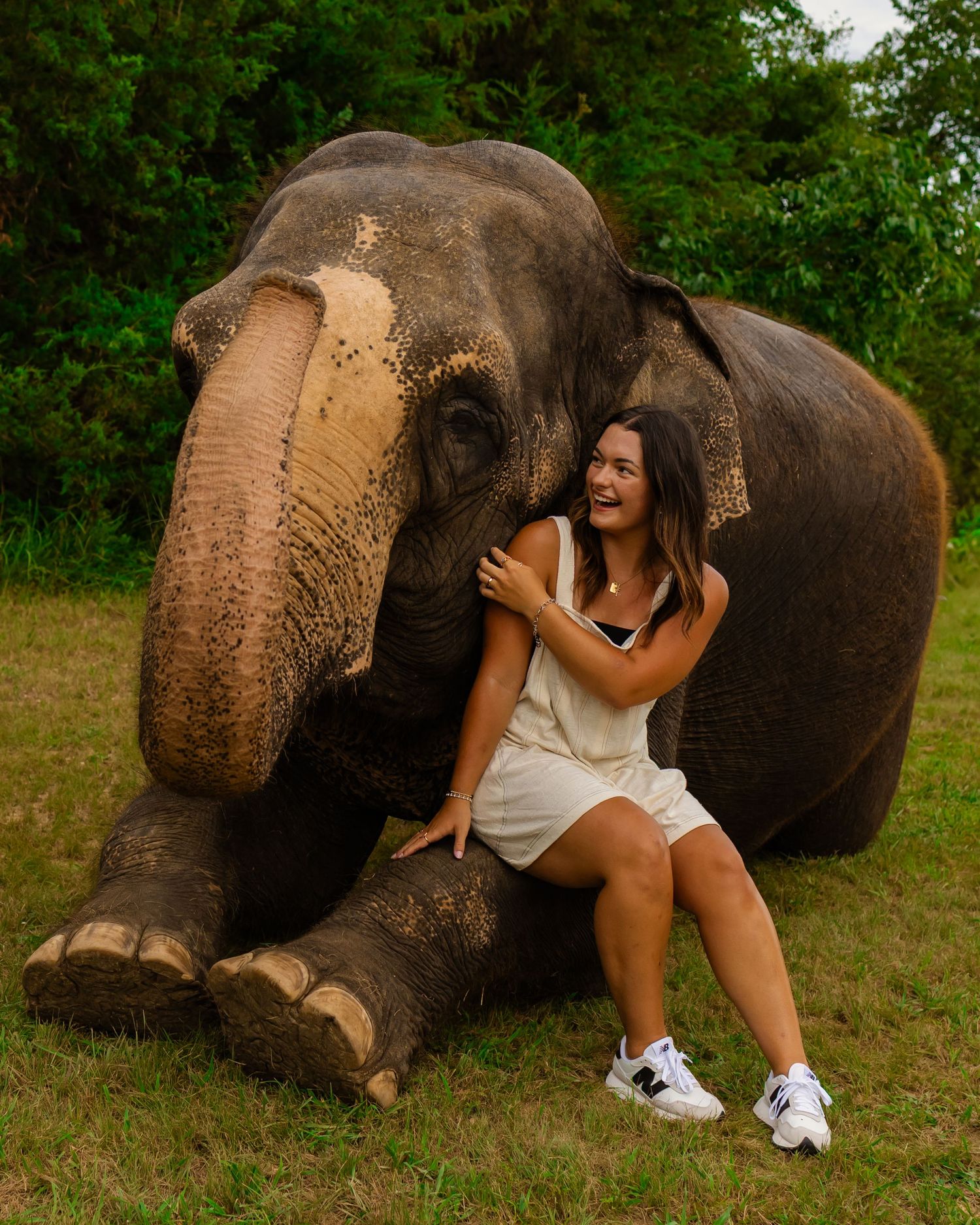 Oklahoma high school senior in a white dress sits beside a large elephant on green grass, sharing a joyful moment outdoors.