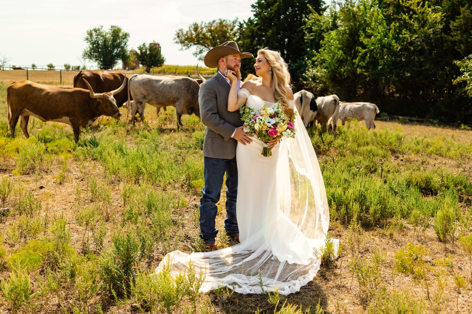 Bride & groom pose romantically in a field with longhorn cattle grazing behind them on their rustic country wedding day at Rustic Rose Ranch