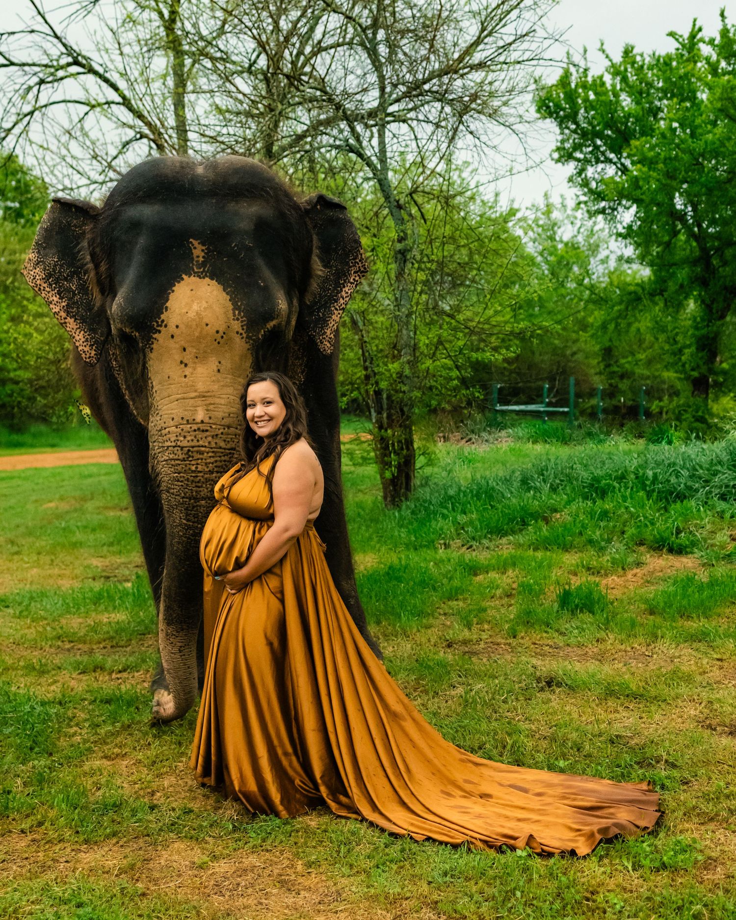 Pregnant woman in golden maternity gown poses with elephant outdoors in lush green setting in Oklahoma maternity session