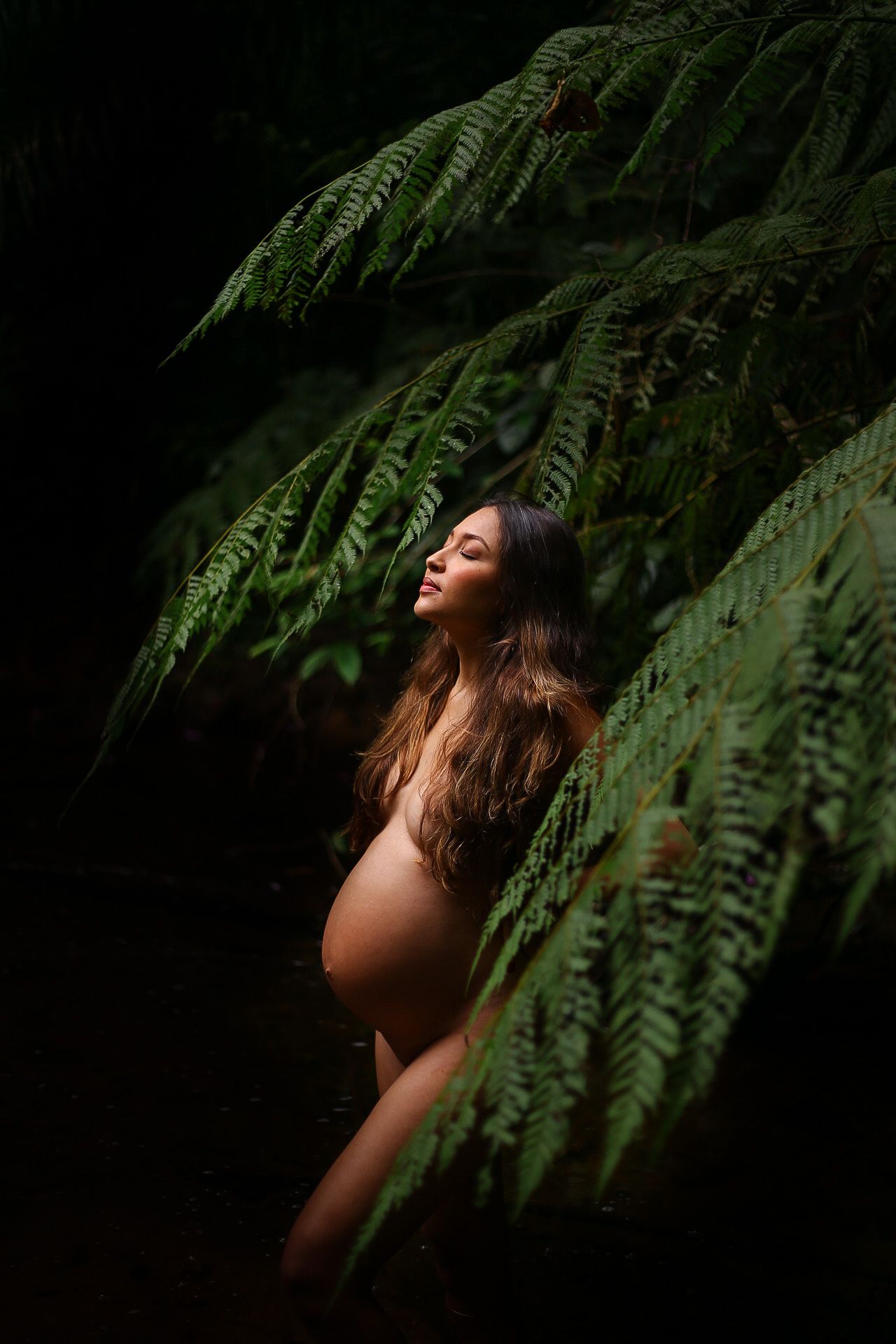 An artistic maternity photo shows a figure draped in shadow beneath green fern fronds in a dark forest setting.