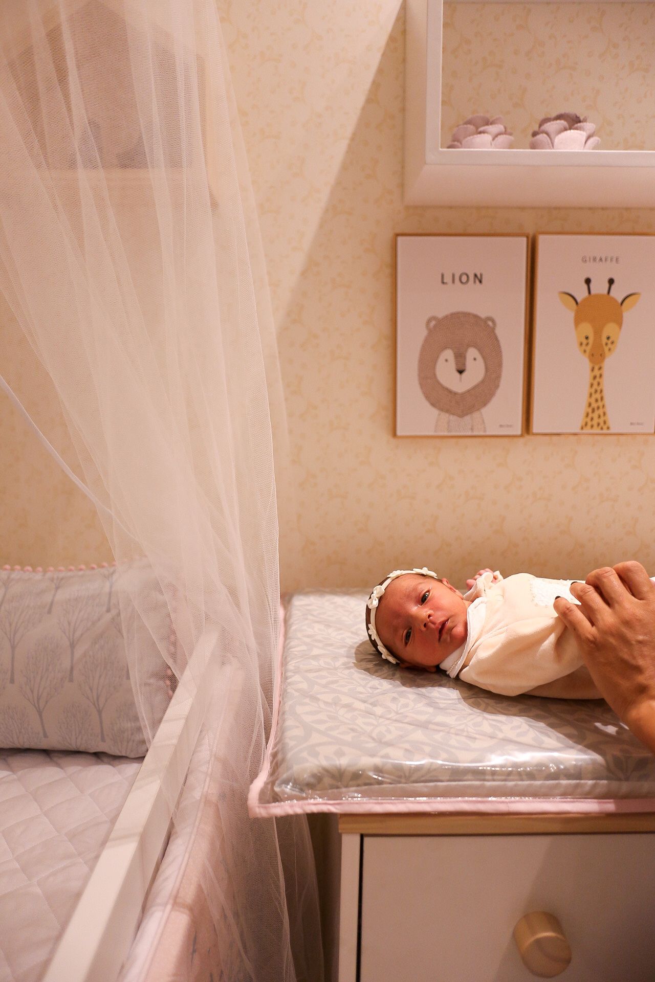 A nursery corner with a changing table, sheer white canopy, and cute animal artwork featuring a lion and giraffe on the wall.