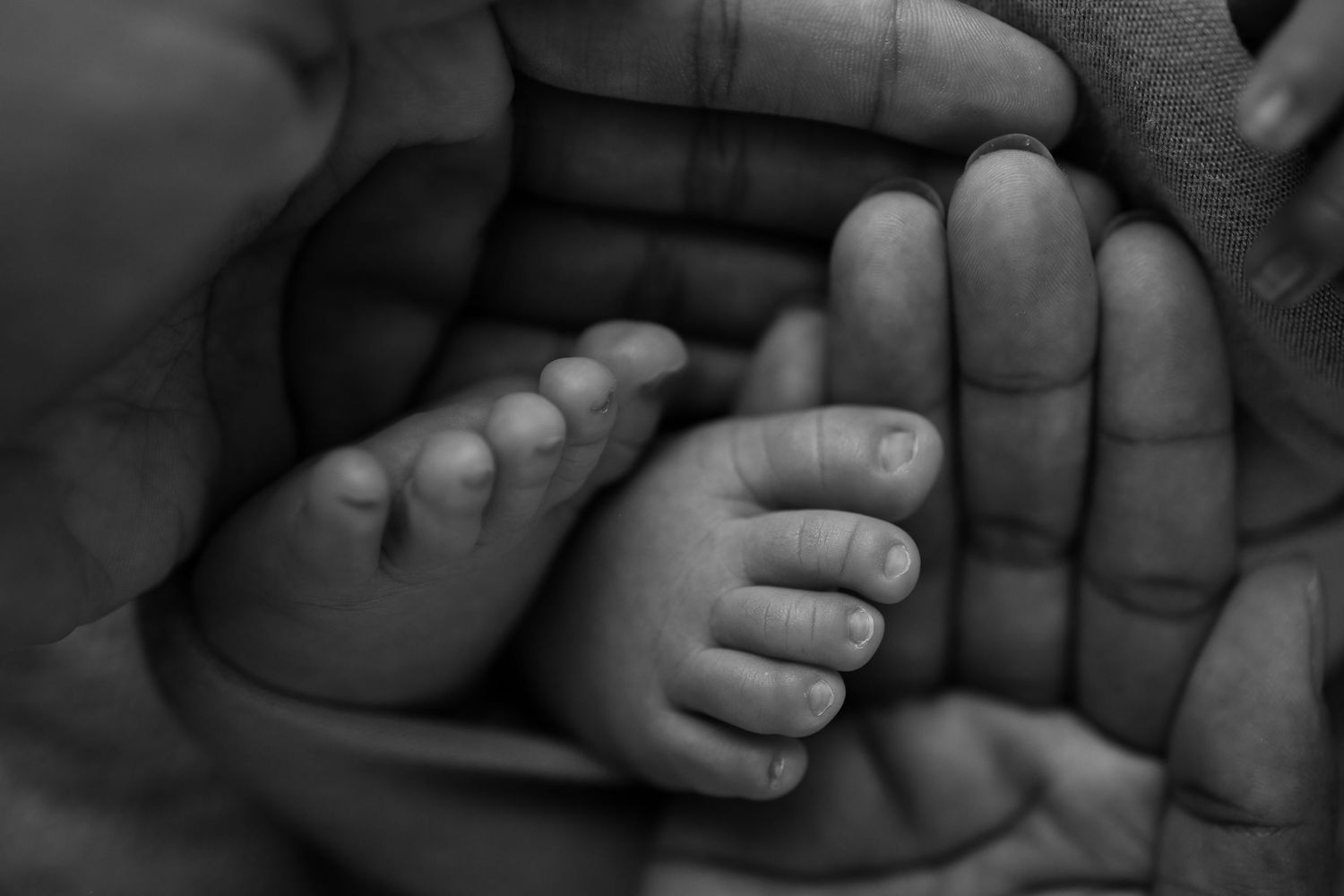 Black and white close-up of a tiny baby foot being gently held in adult hands.