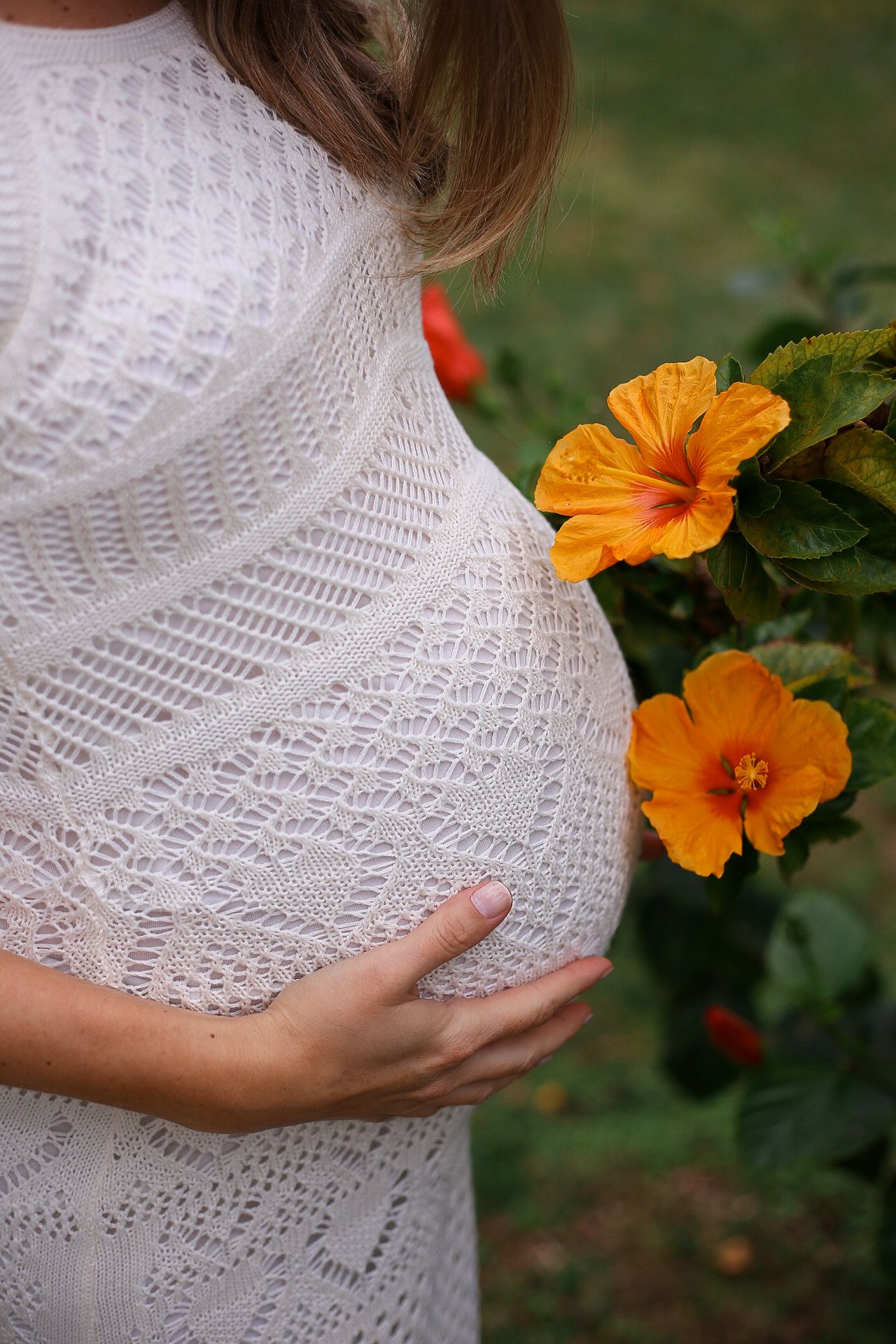 Hands cradle a pregnant belly in white lace dress beside vibrant orange hibiscus flowers in garden setting.