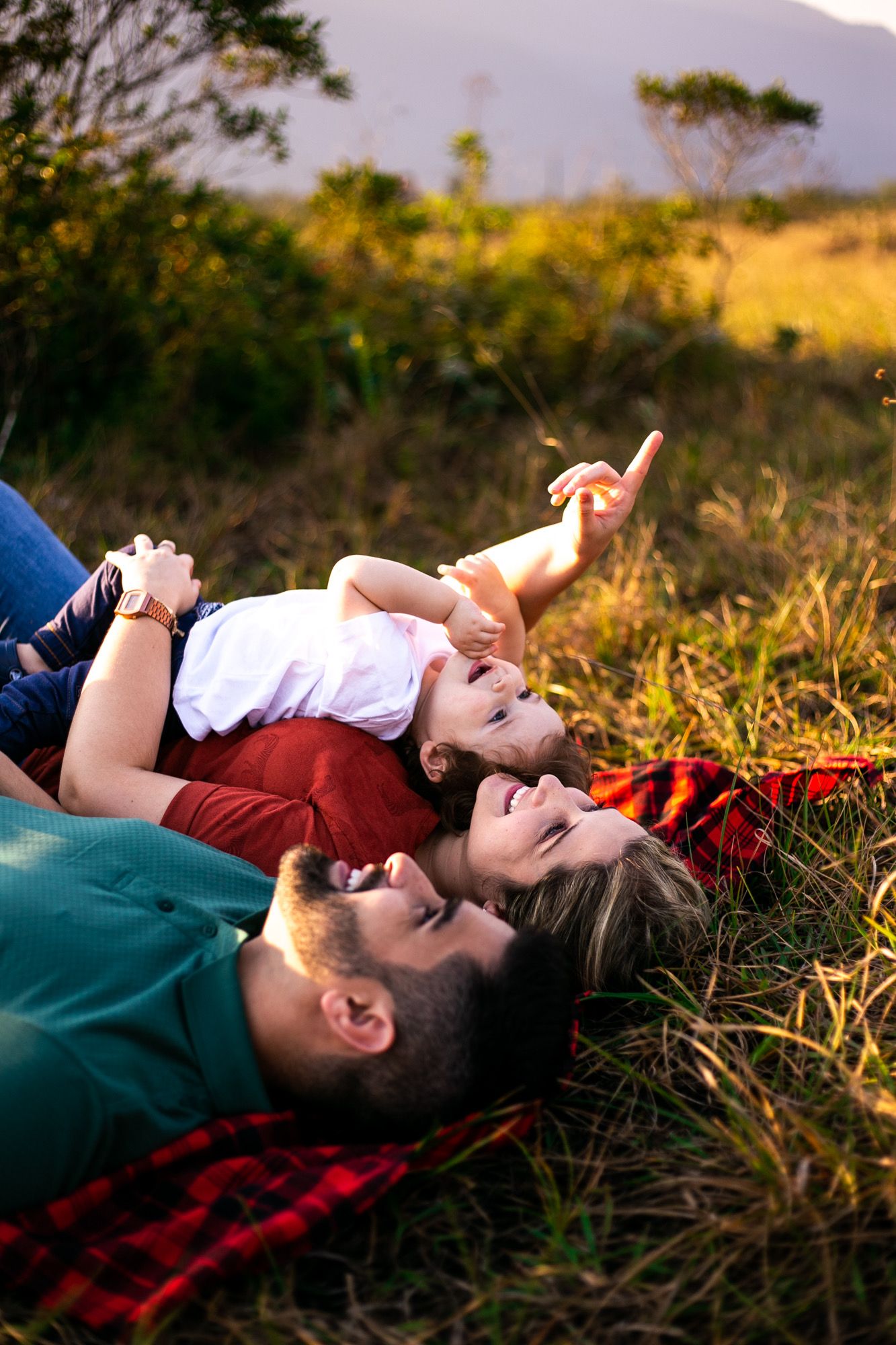 Three people lie together on a plaid blanket in tall grass at sunset pointing up at the sky together.