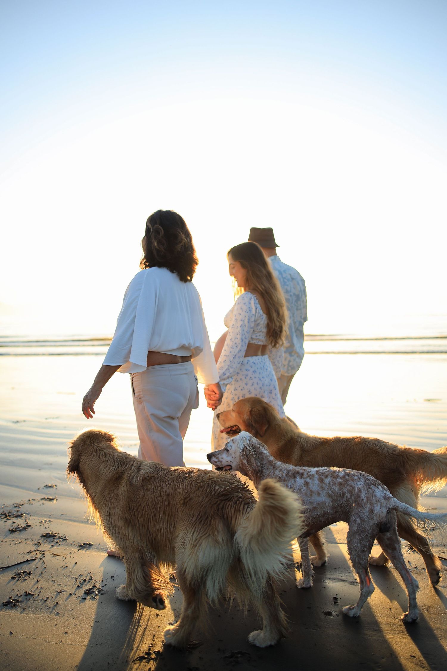 A couple walking on a beach at sunset with their golden retriever dog enjoying the ocean view.