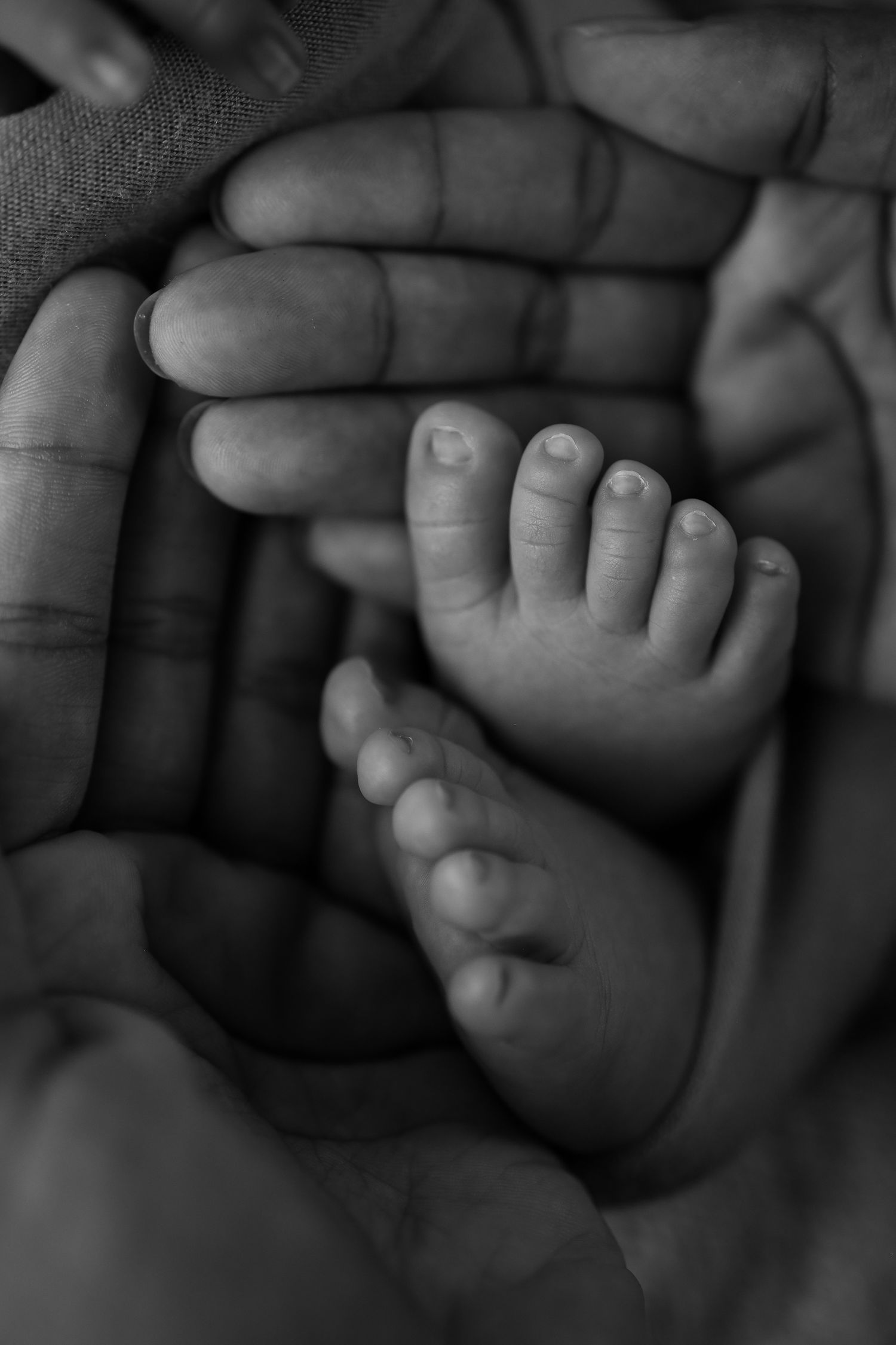 Close-up black and white photo of tiny baby feet nestled in adult hands with tender care and intimacy.
