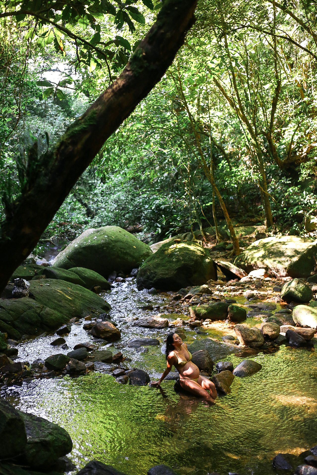 A serene woodland stream flows between moss-covered rocks in a lush green forest setting with dappled sunlight.