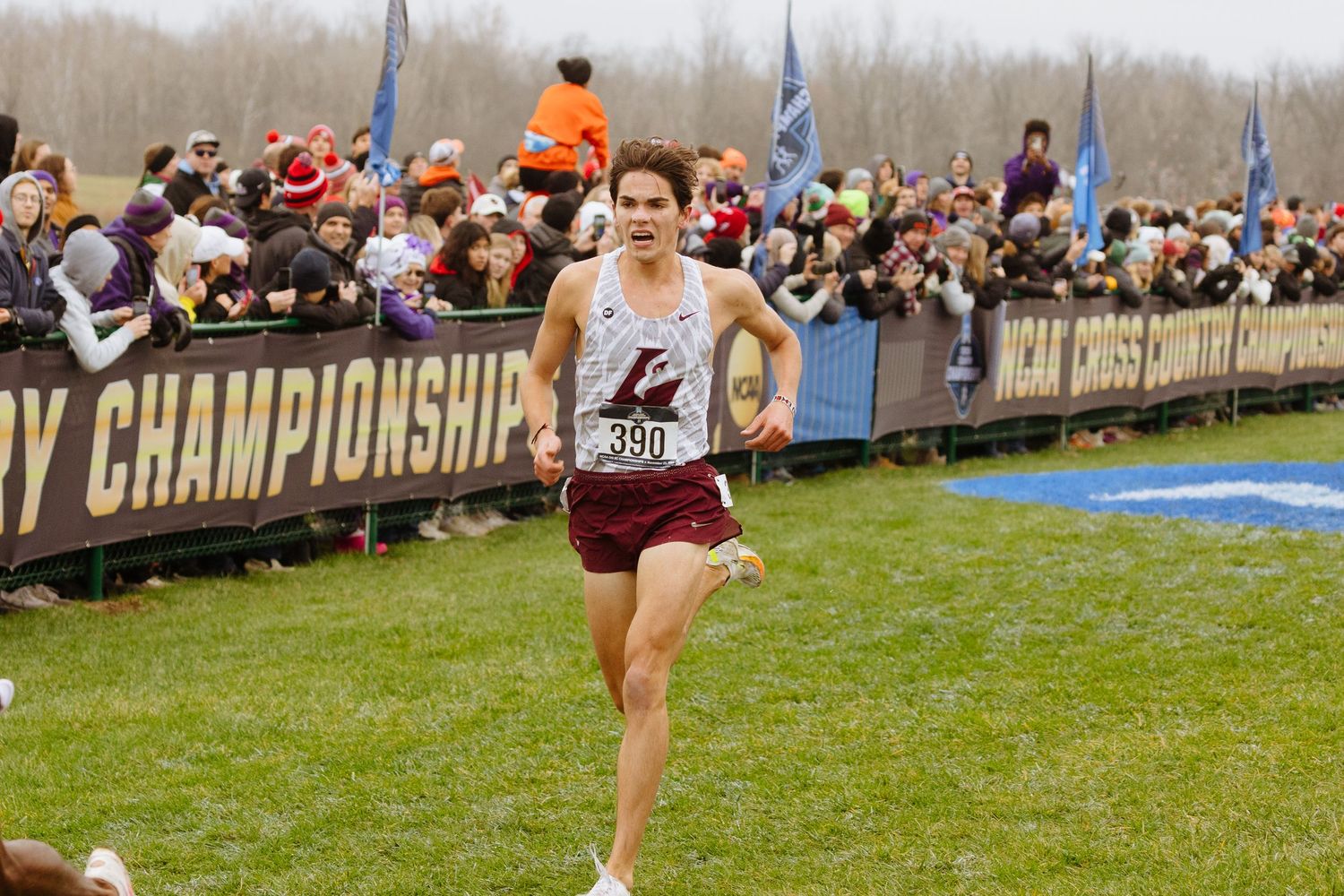 Cross country runner competes at championship meet with cheering spectators and flags along course fence.