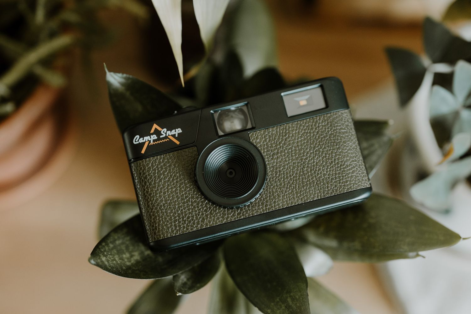 Vintage-style black compact camera with textured leather exterior resting on green leaves.