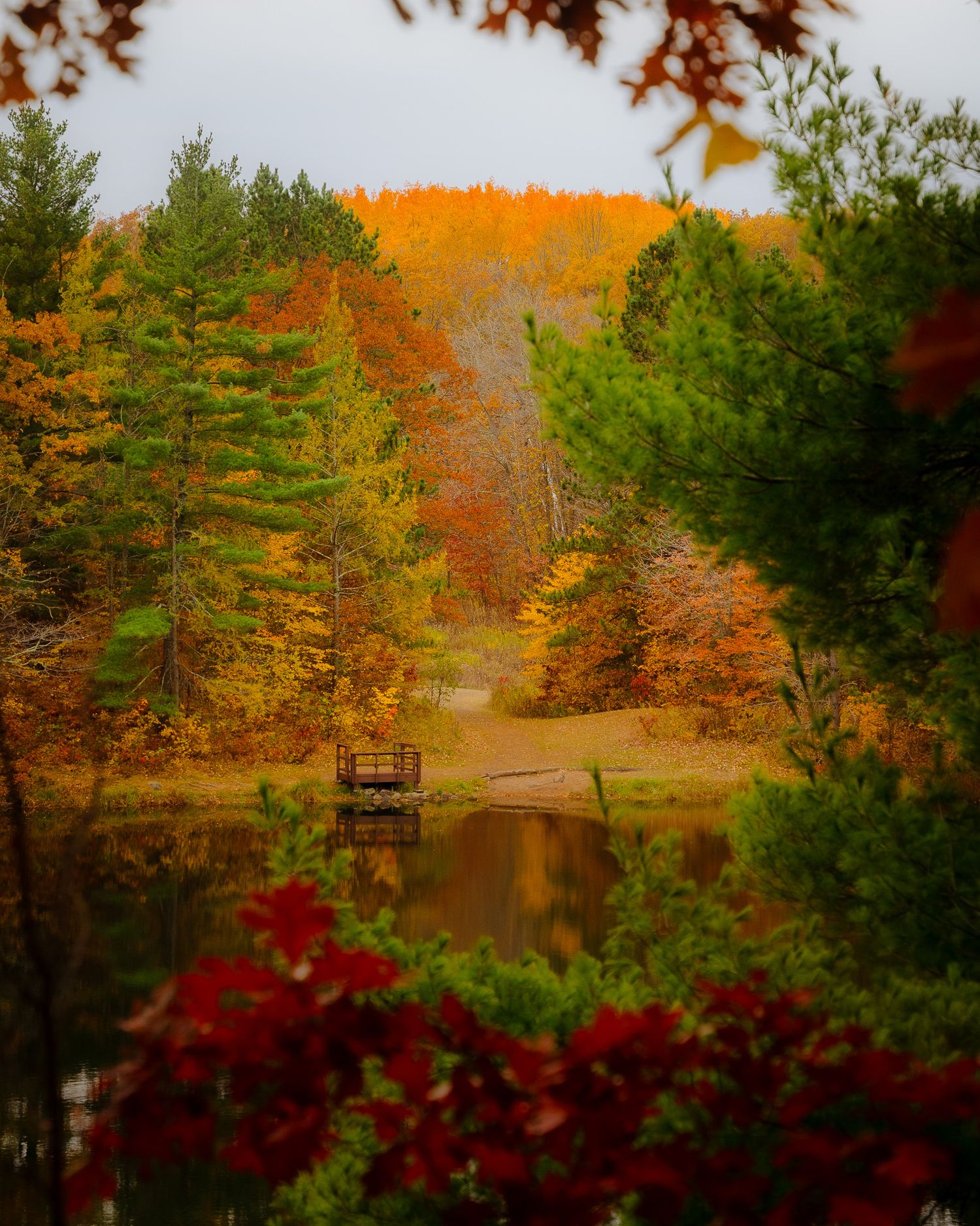 Scenic autumn landscape with vibrant fall foliage reflecting in a tranquil pond surrounded by trees.