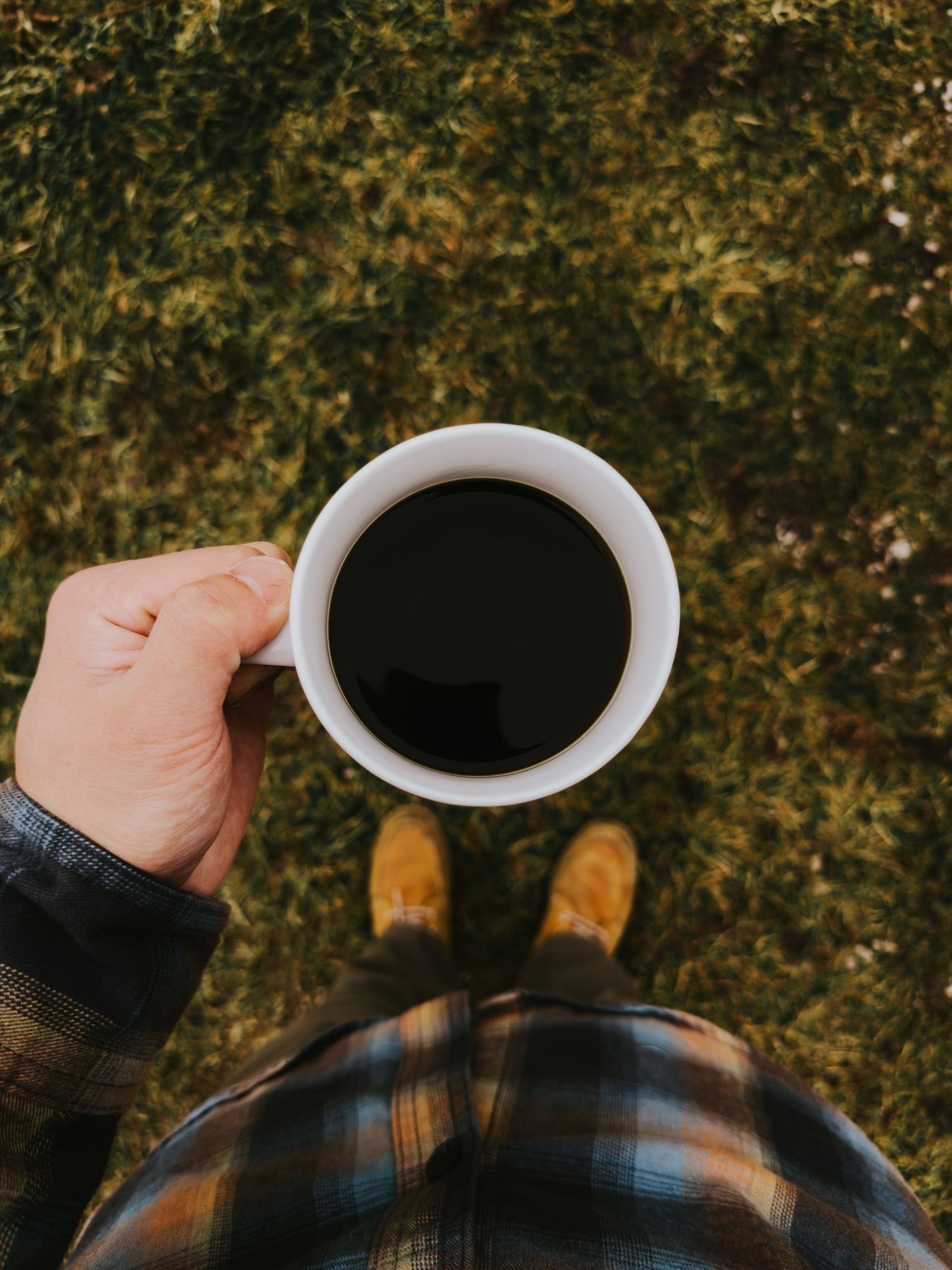 A sequence of images showing a person in plaid shirt holding a white coffee mug against an autumn foliage background.