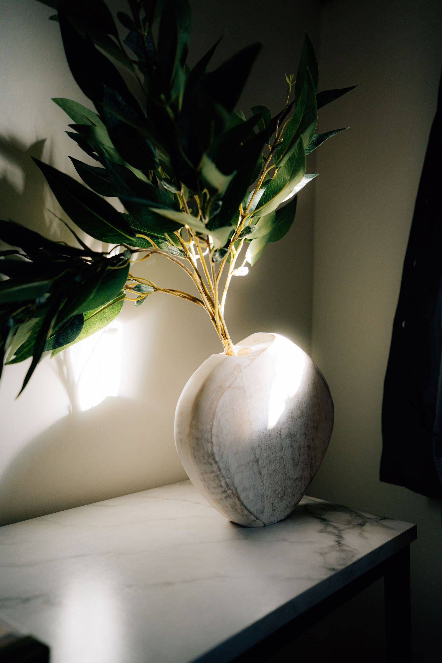 Artistic still life series showing a white marble vase with green leaves casting dramatic shadows on a light surface.