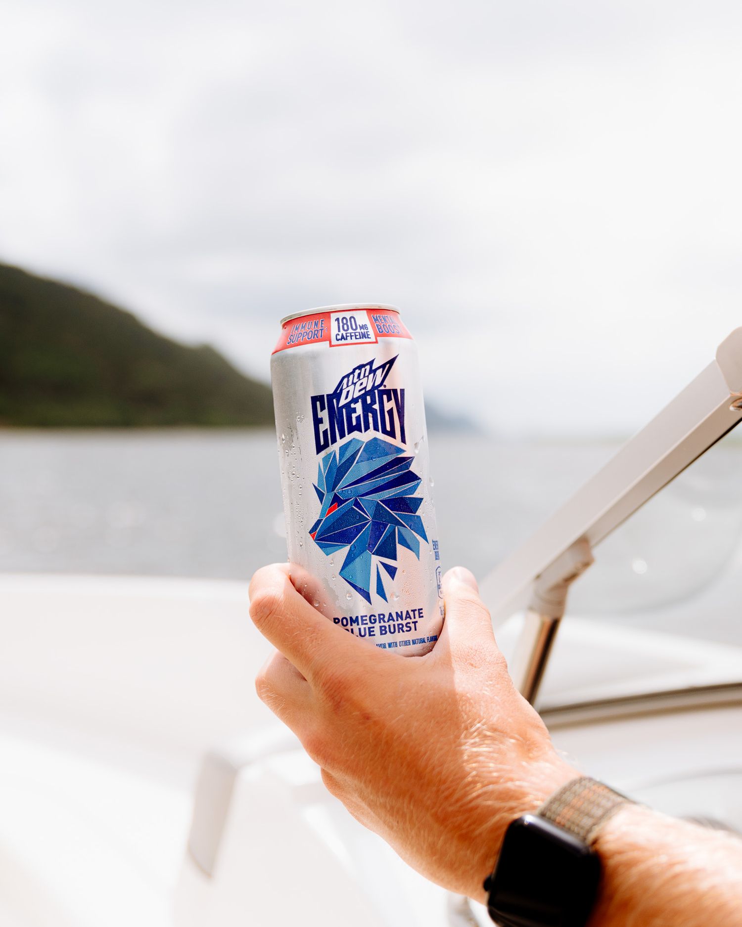 Hand holding a can of Keystone Light beer against a blurred outdoor background.