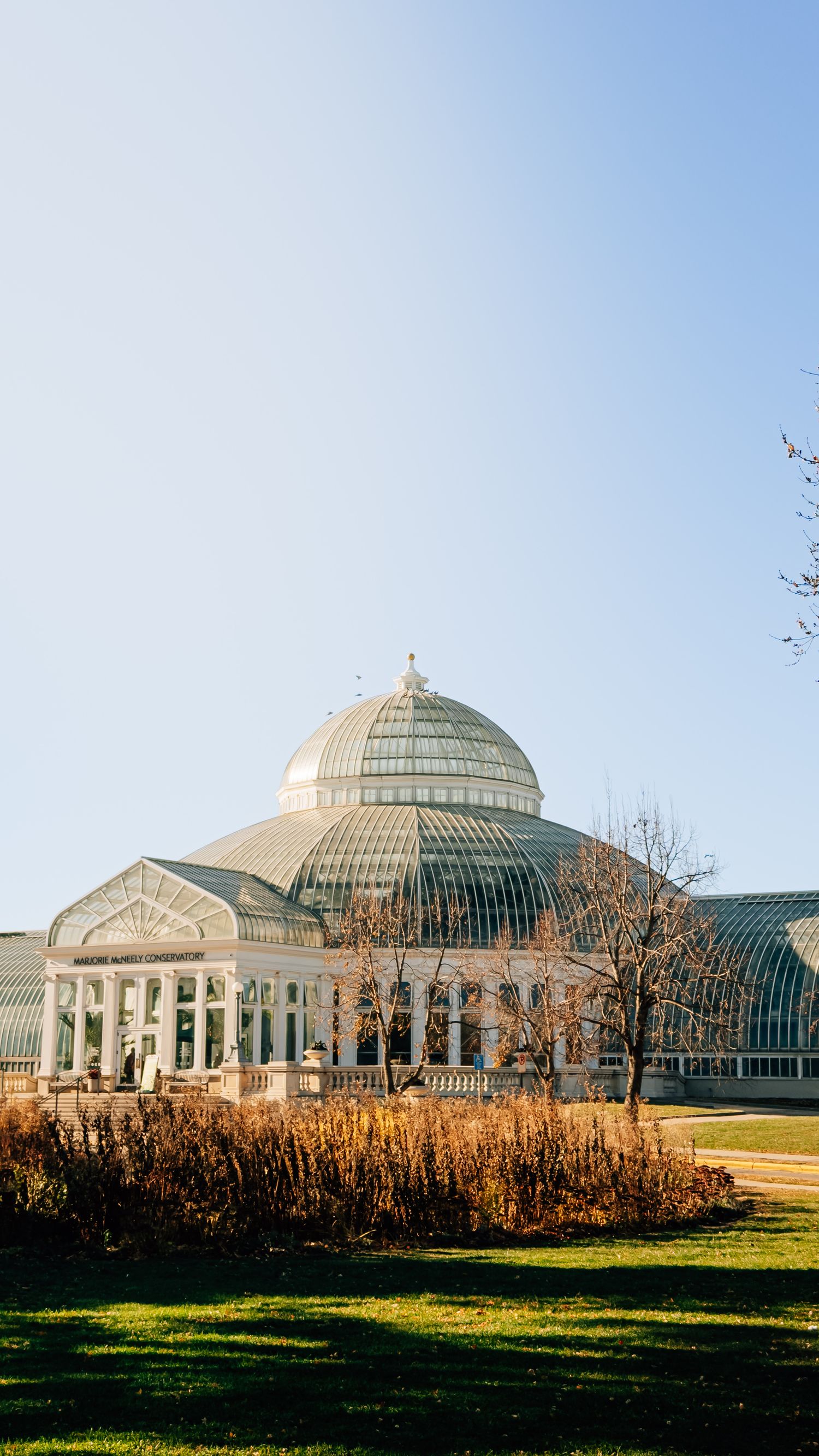The Como Park Conservatory's glass domed structure glows in golden sunlight against a clear blue sky.