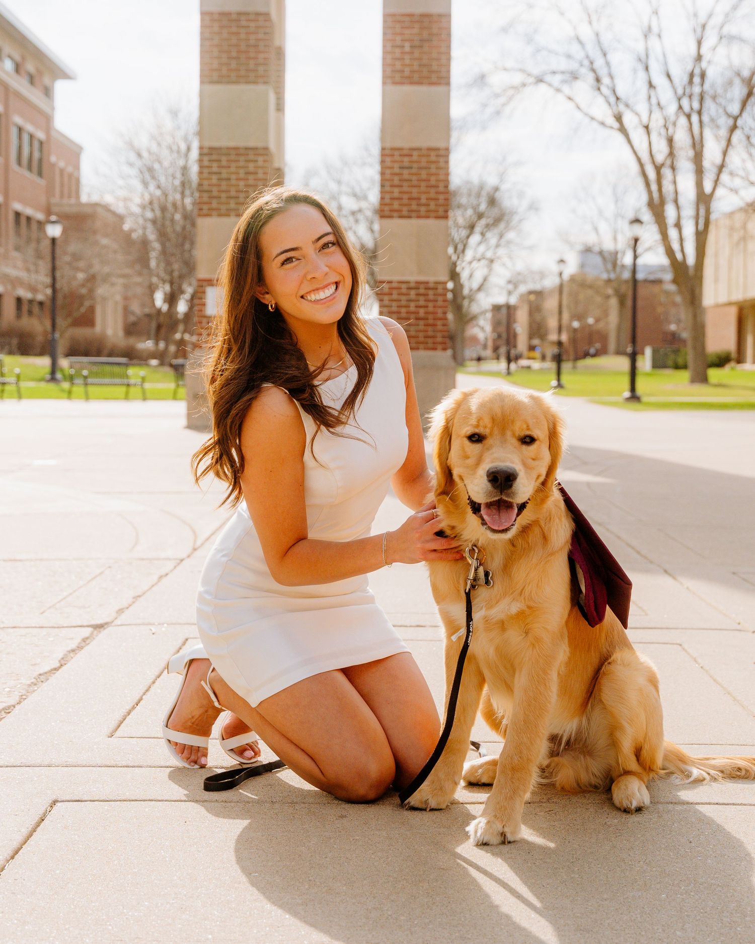 A happy golden retriever poses on a brick walkway with someone in casual white attire.