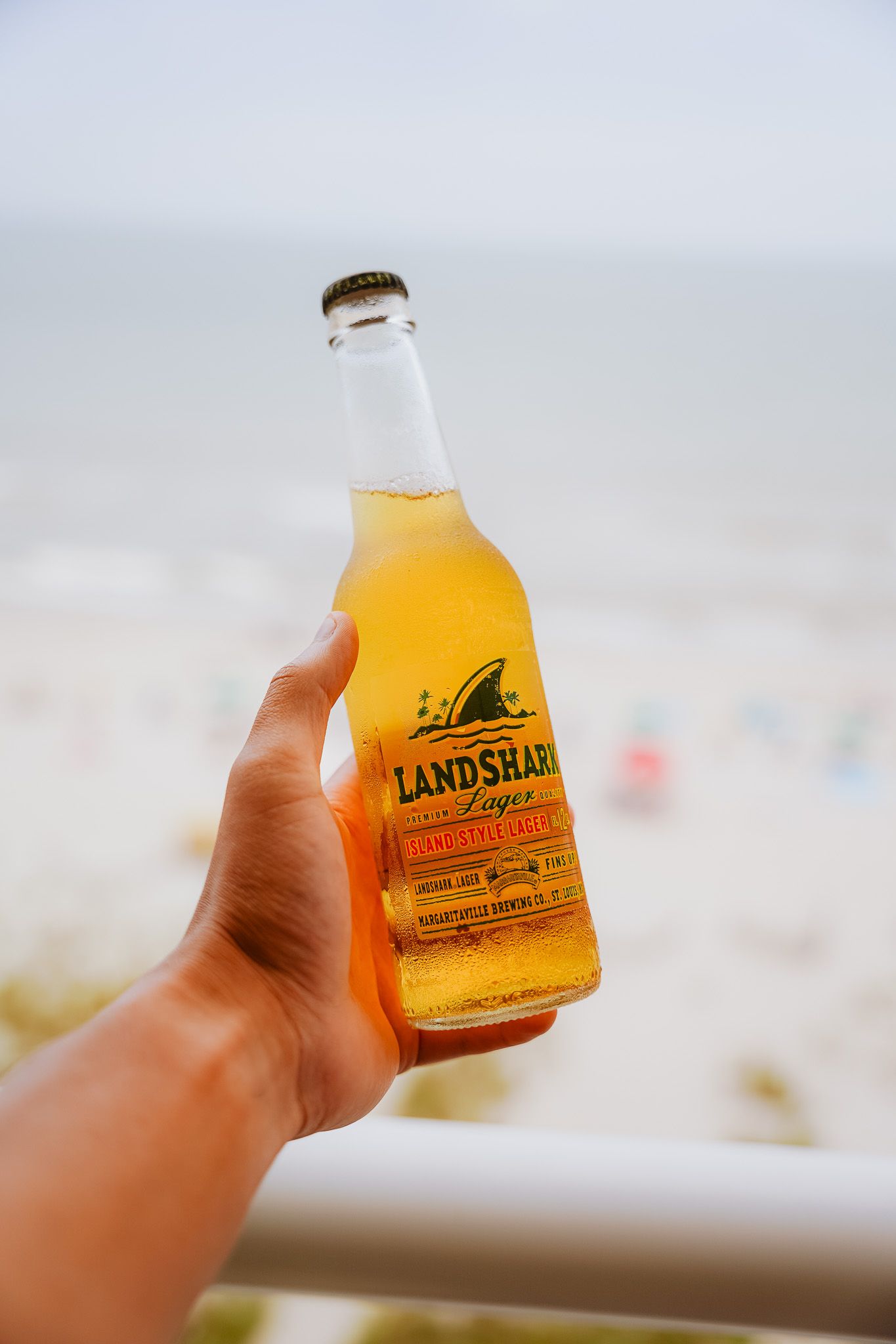 A hand holds up a bottle of Landshark lager beer against a bright background, showcasing the golden liquid inside.