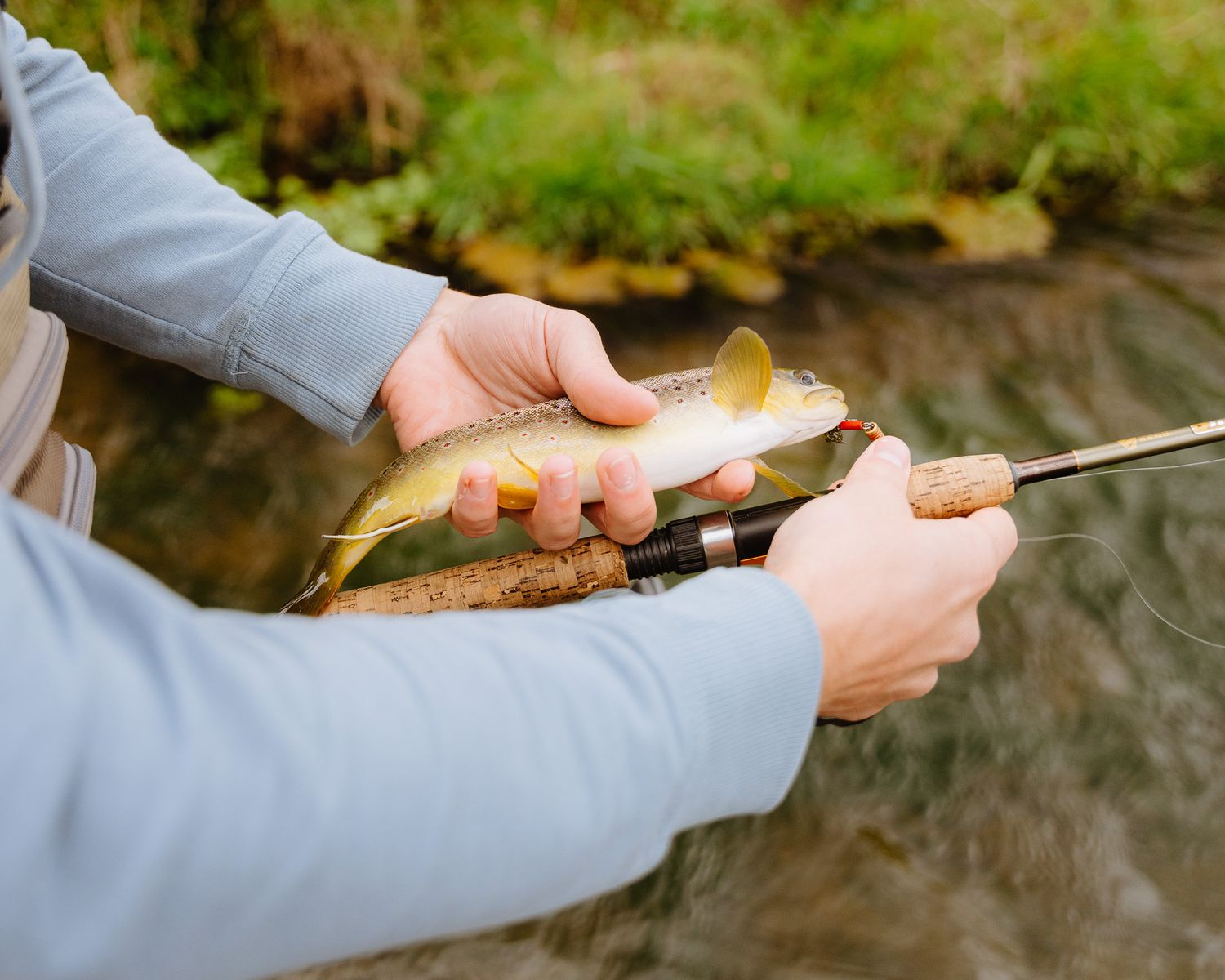 Close-up sequence of hands casting a fishing line into a stream with natural sunlight filtering through trees.