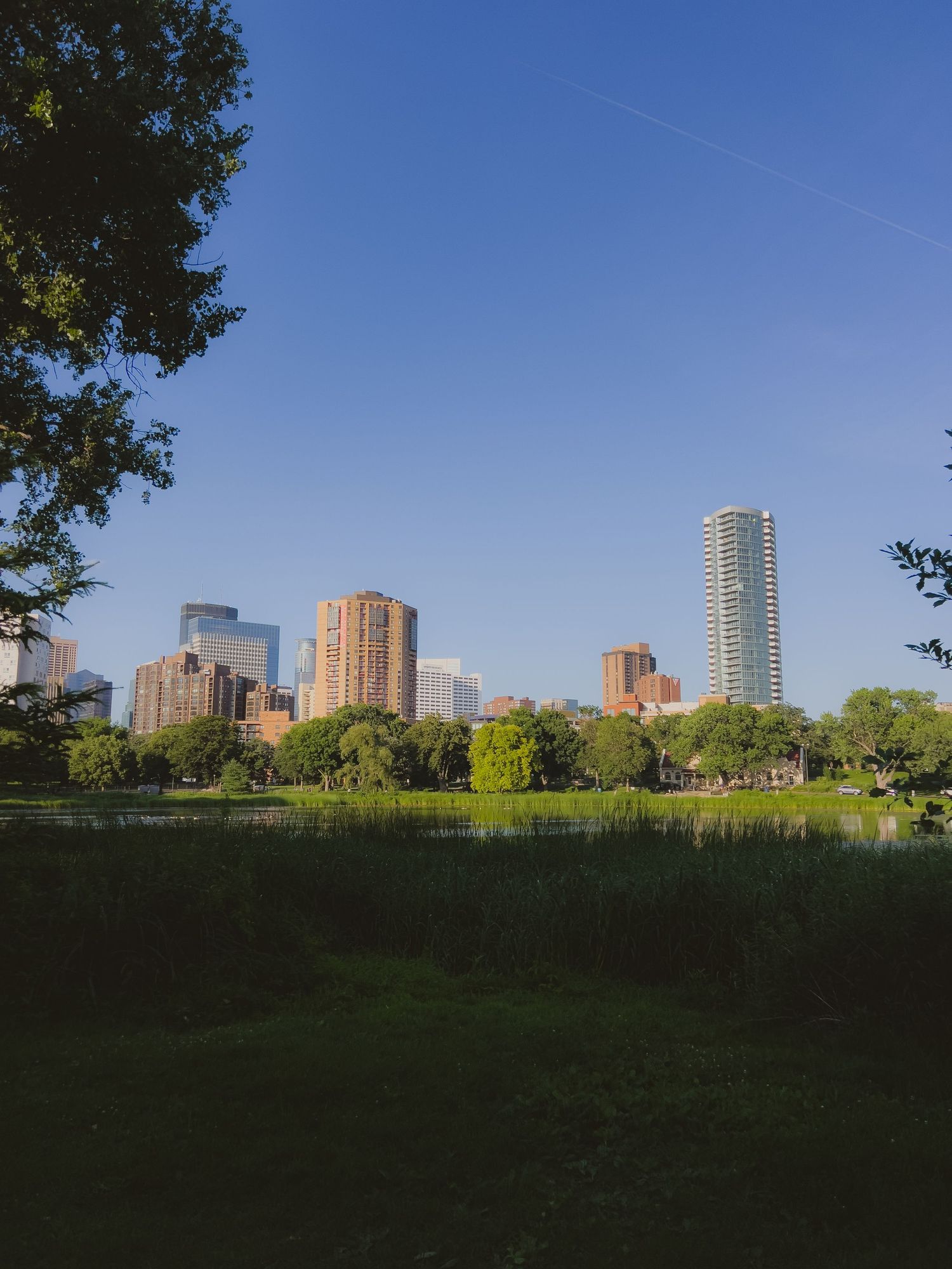 Panoramic view of Minneapolis skyline with tall buildings and green trees in Loring Park on a sunny summer day.
