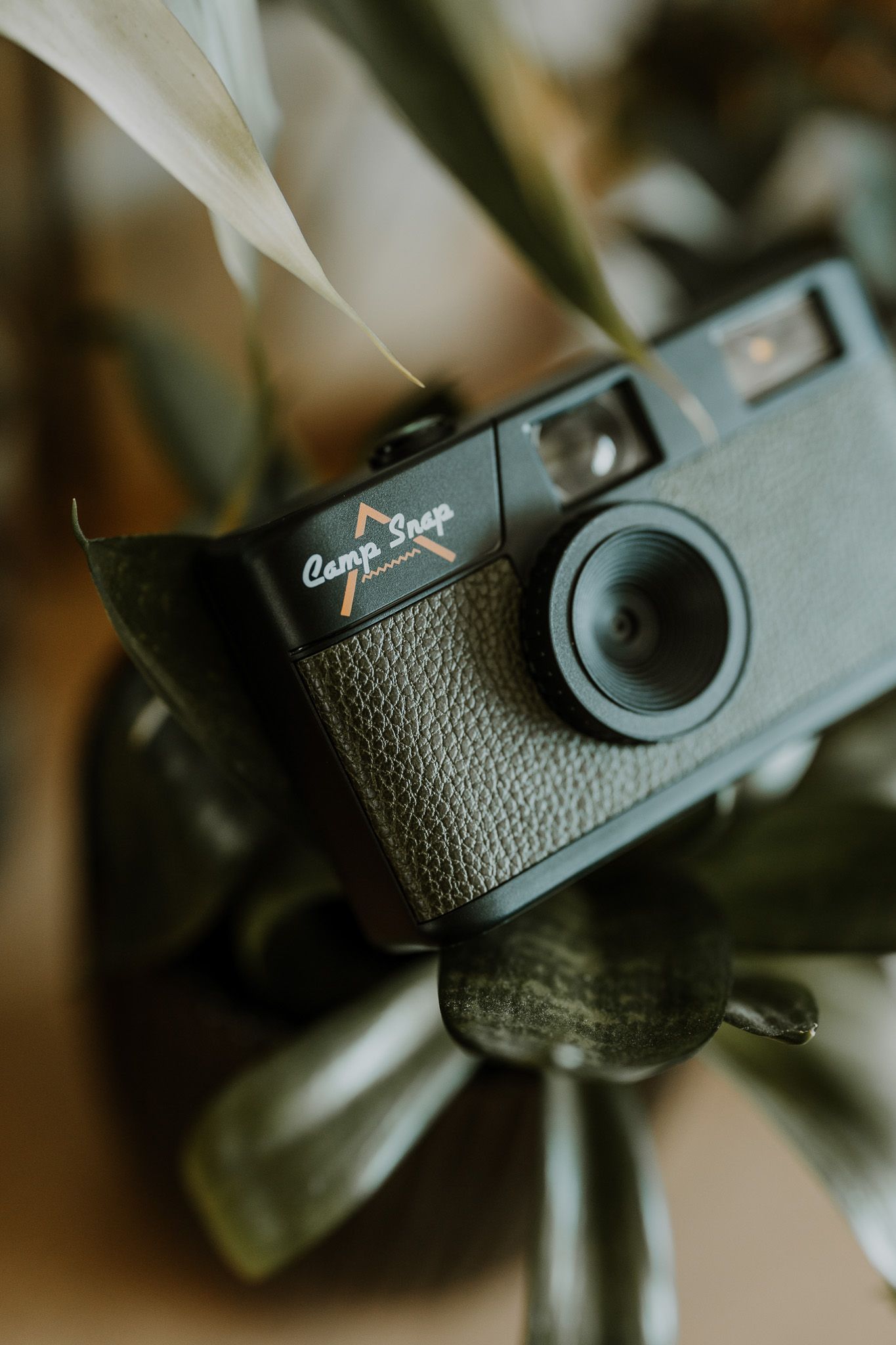 Close-up shots of a vintage black Canon film camera from multiple angles showing textured leather and design details.
