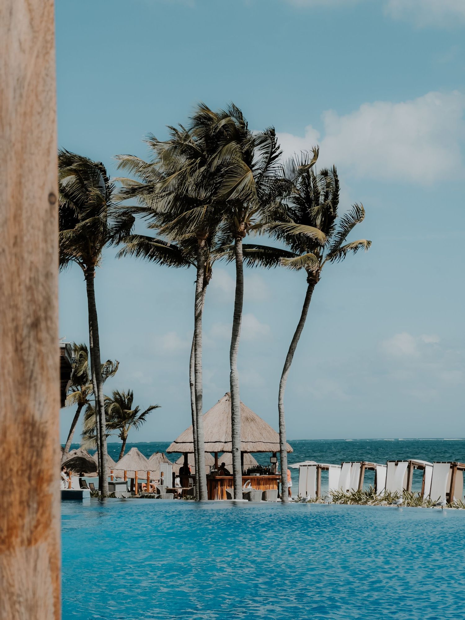 Luxurious infinity pool overlooking the ocean with swaying palm trees and thatched-roof cabanas on a tropical beach resort.