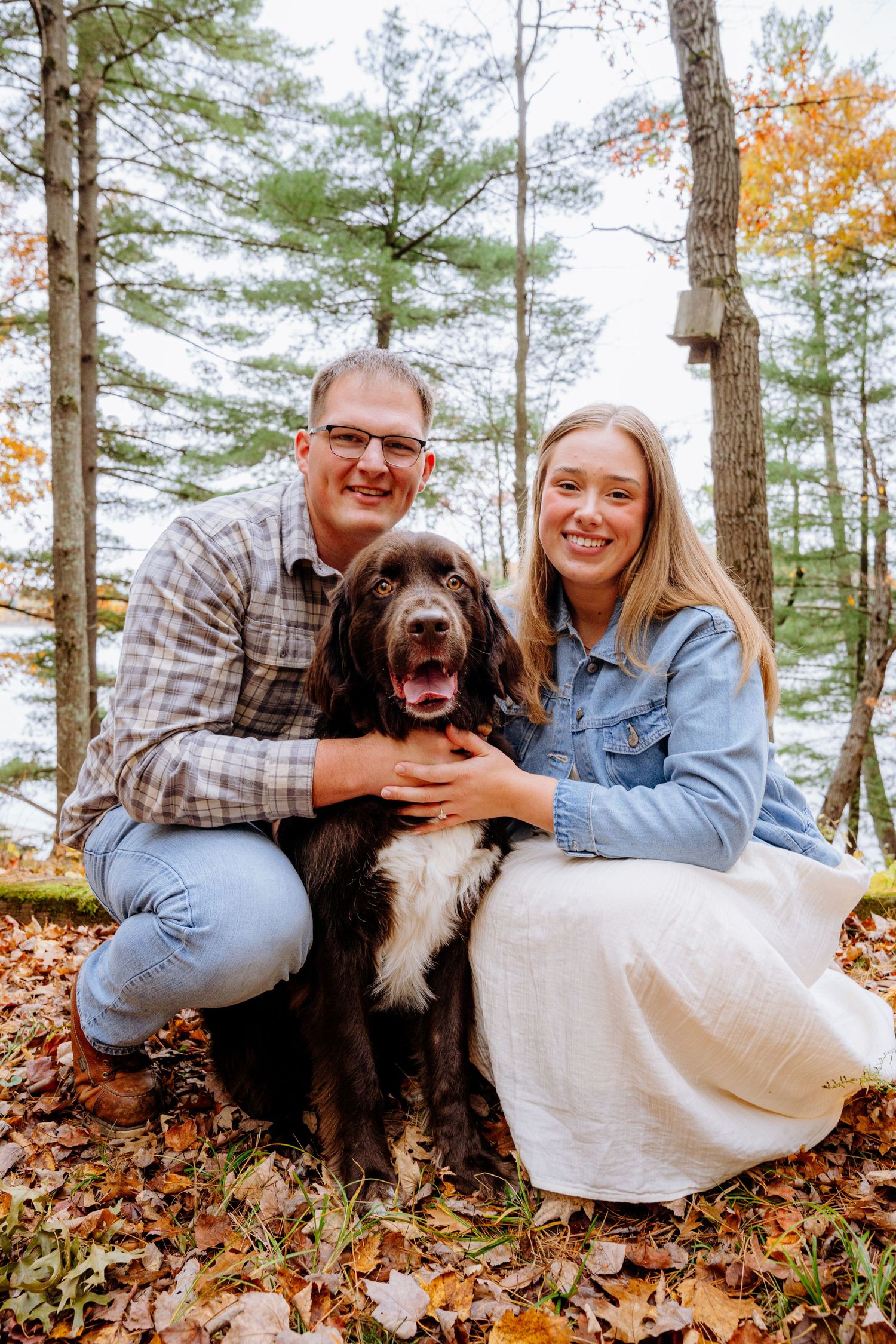 A couple sits with their brown and white dog among fallen autumn leaves in a pine forest.