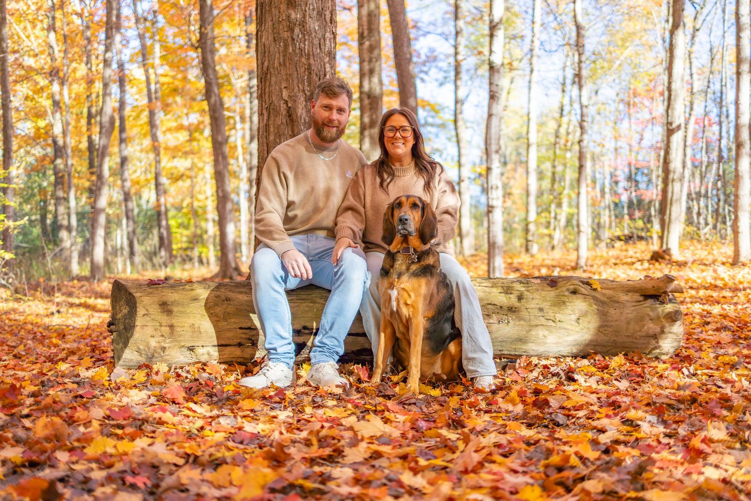 People sit on fallen autumn leaves in a sunlit forest with golden foliage and tall trees.