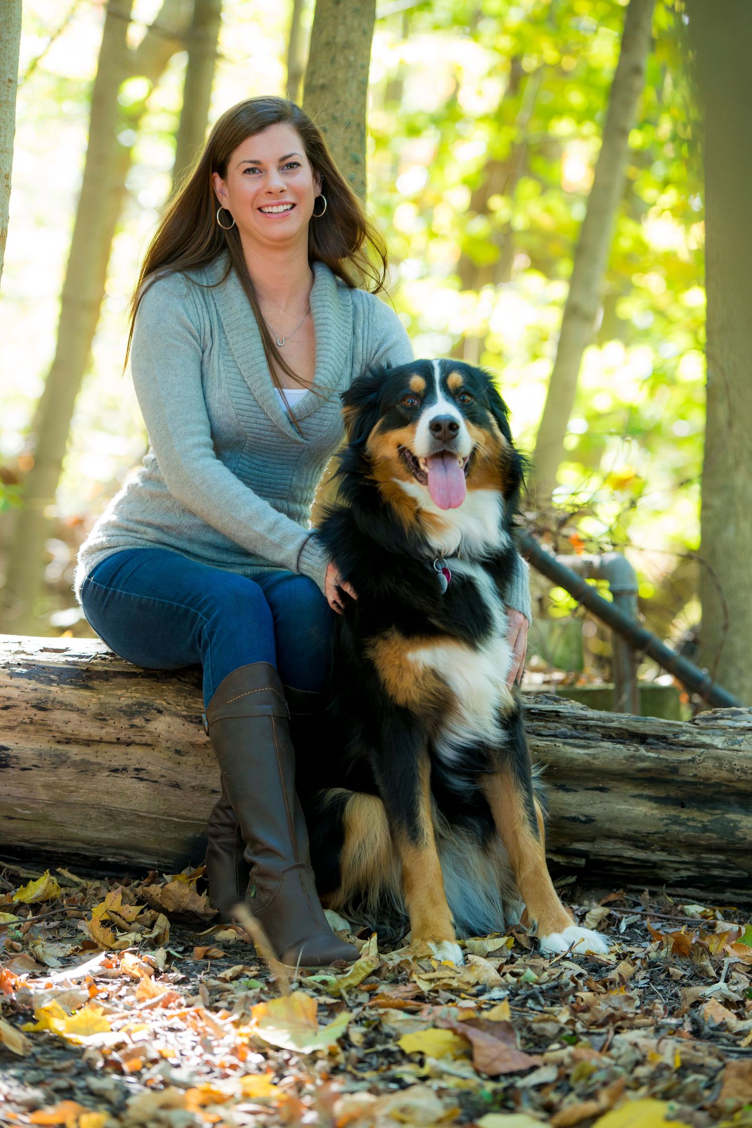 Happy Bernese Mountain Dog sitting with companion on fallen log in autumn forest.