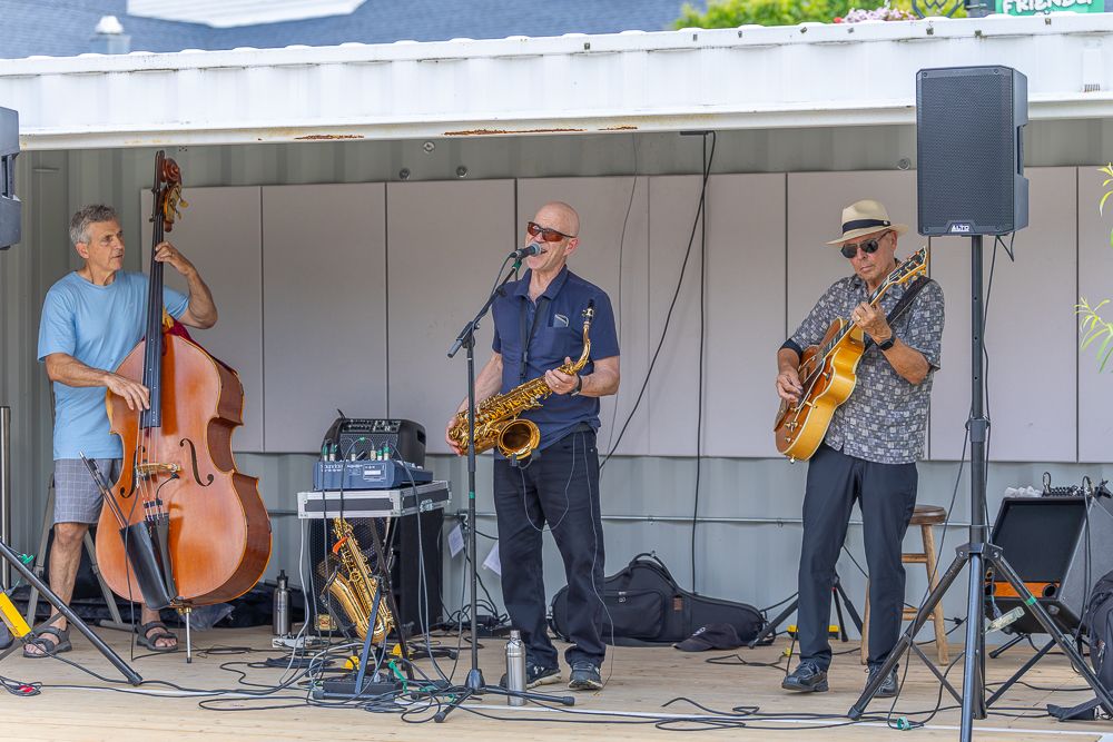 Musicians perform with upright bass and other instruments at an outdoor venue during a live concert.